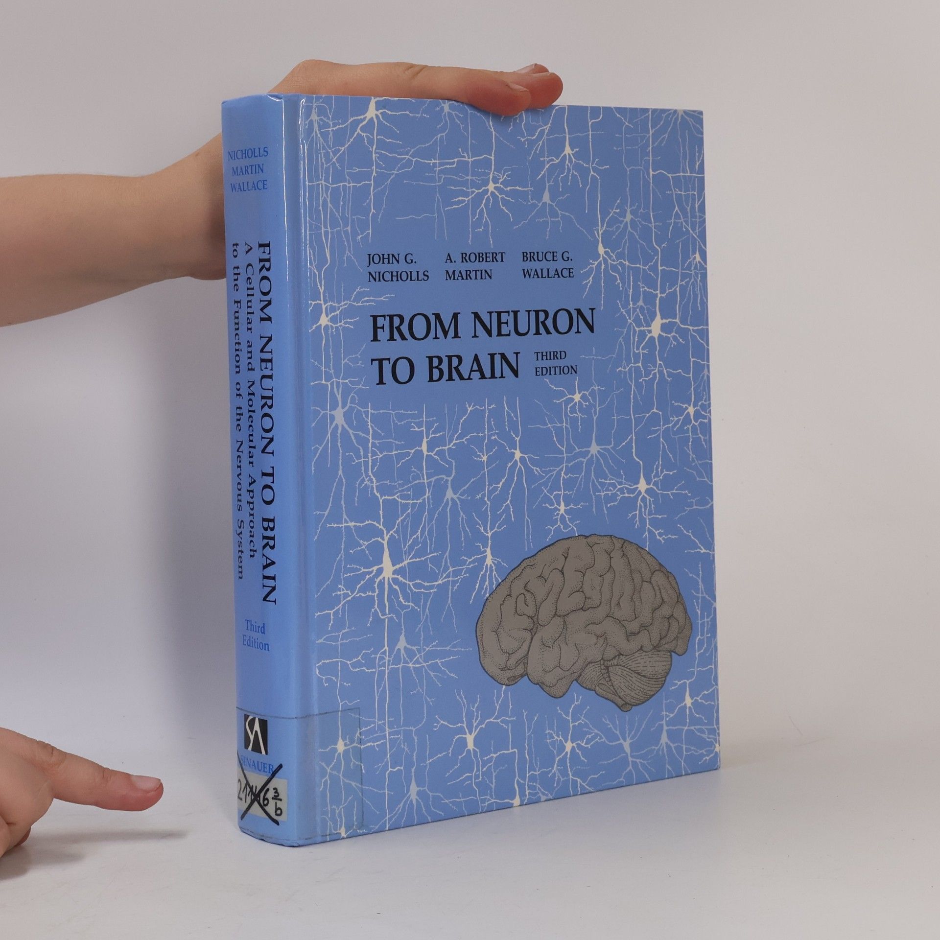 John G. Nicholls From Neuron to Brain. A Cellular and Molecular Approach to the Function of the Nervous System