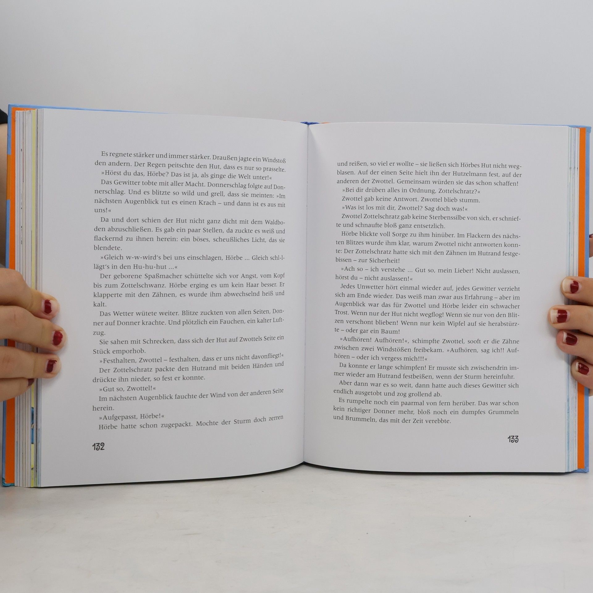 Nina Hammerle Das Vorlesebuch für kleine starke Freunde