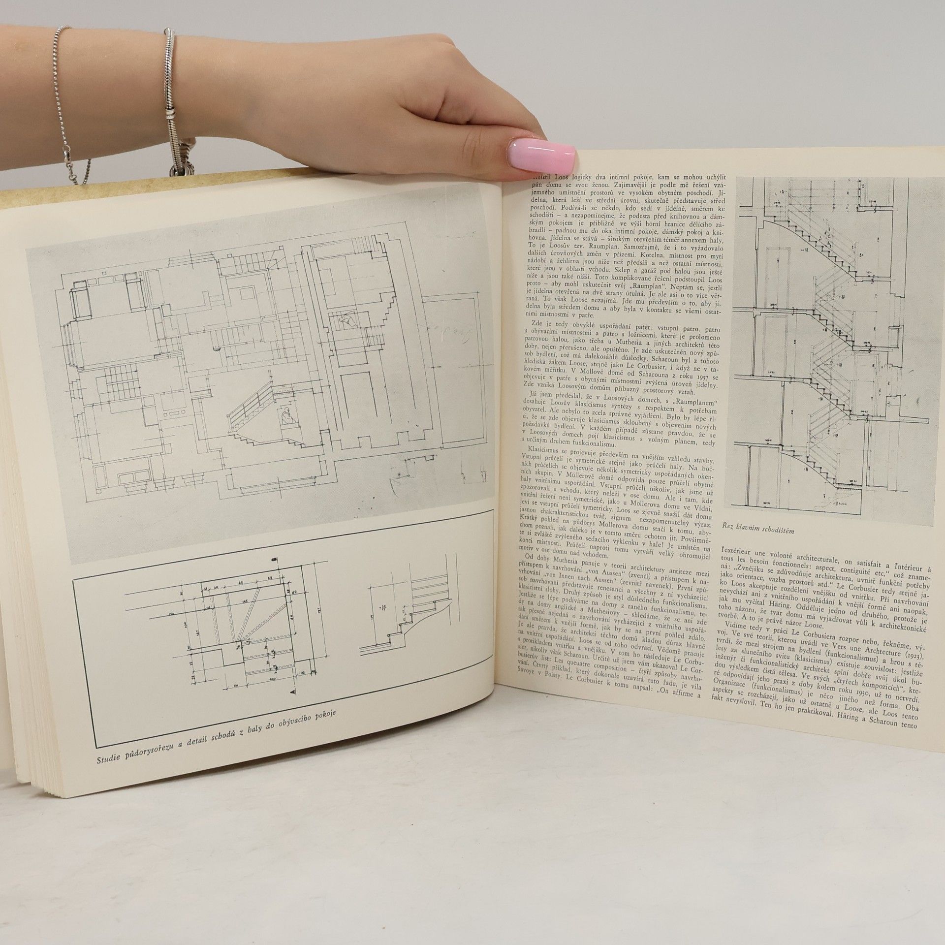 Vladímír Šlapejta Adolf Loos a česká architektura
