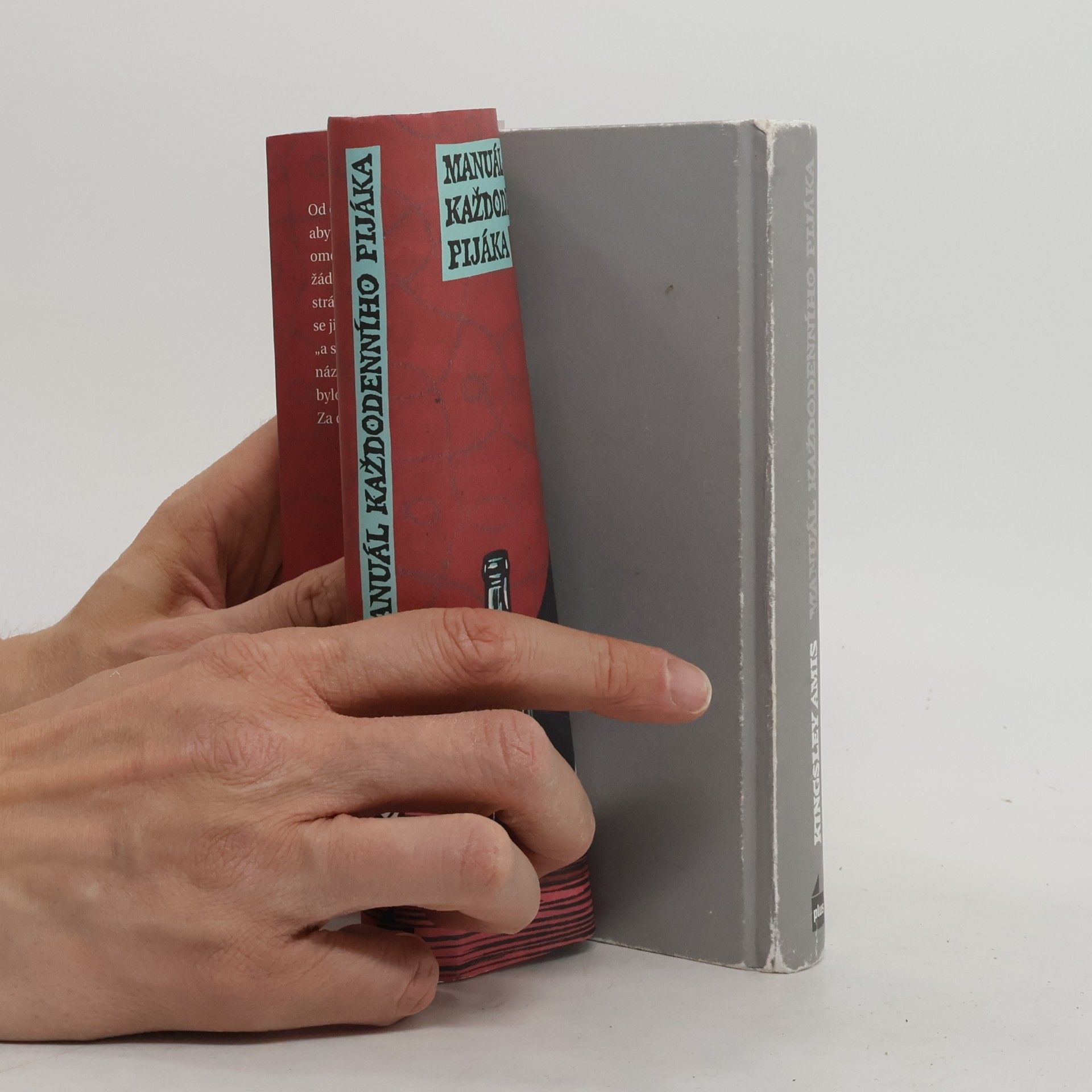 Kingsley Amis Manuál každodenního pijáka