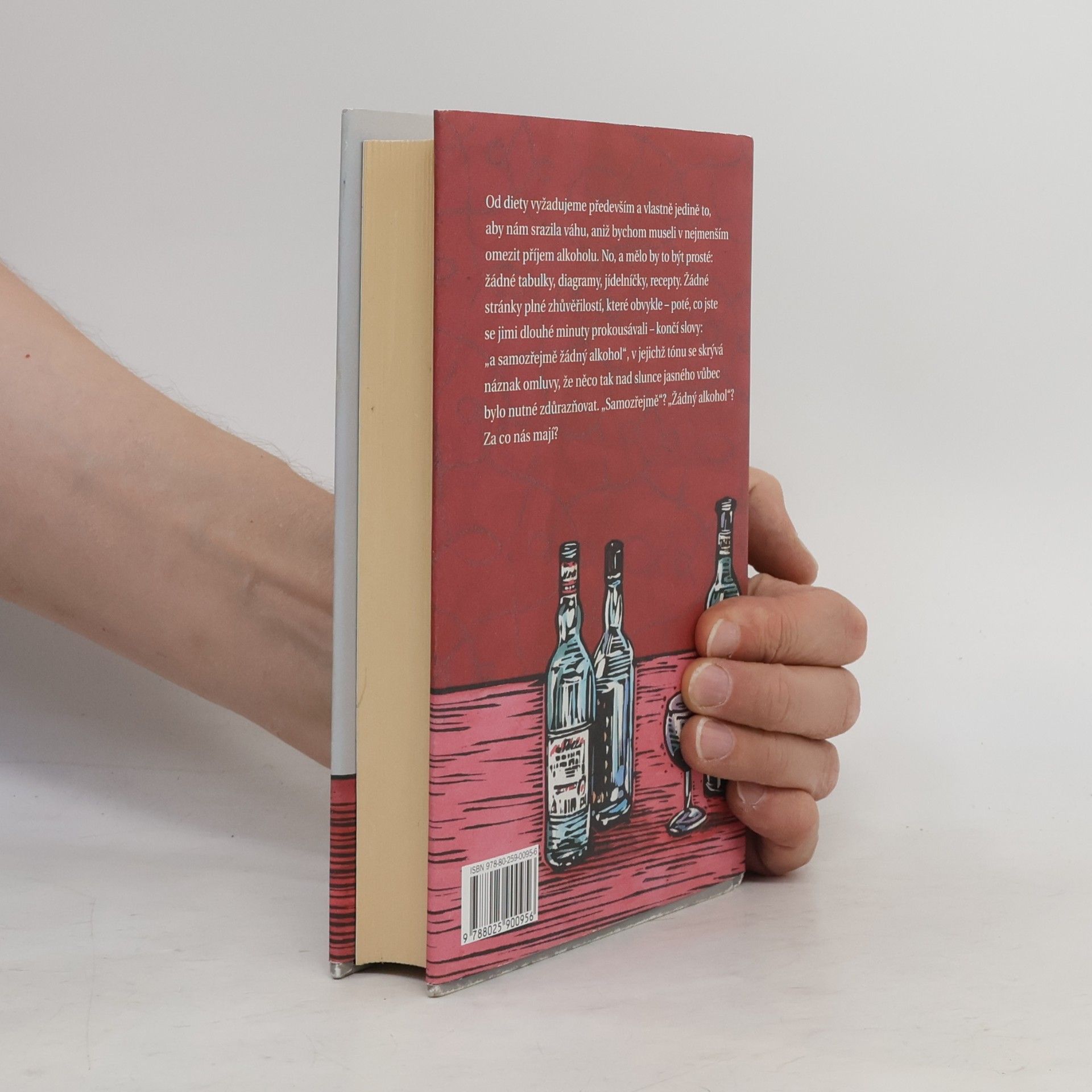 Kingsley Amis Manuál každodenního pijáka