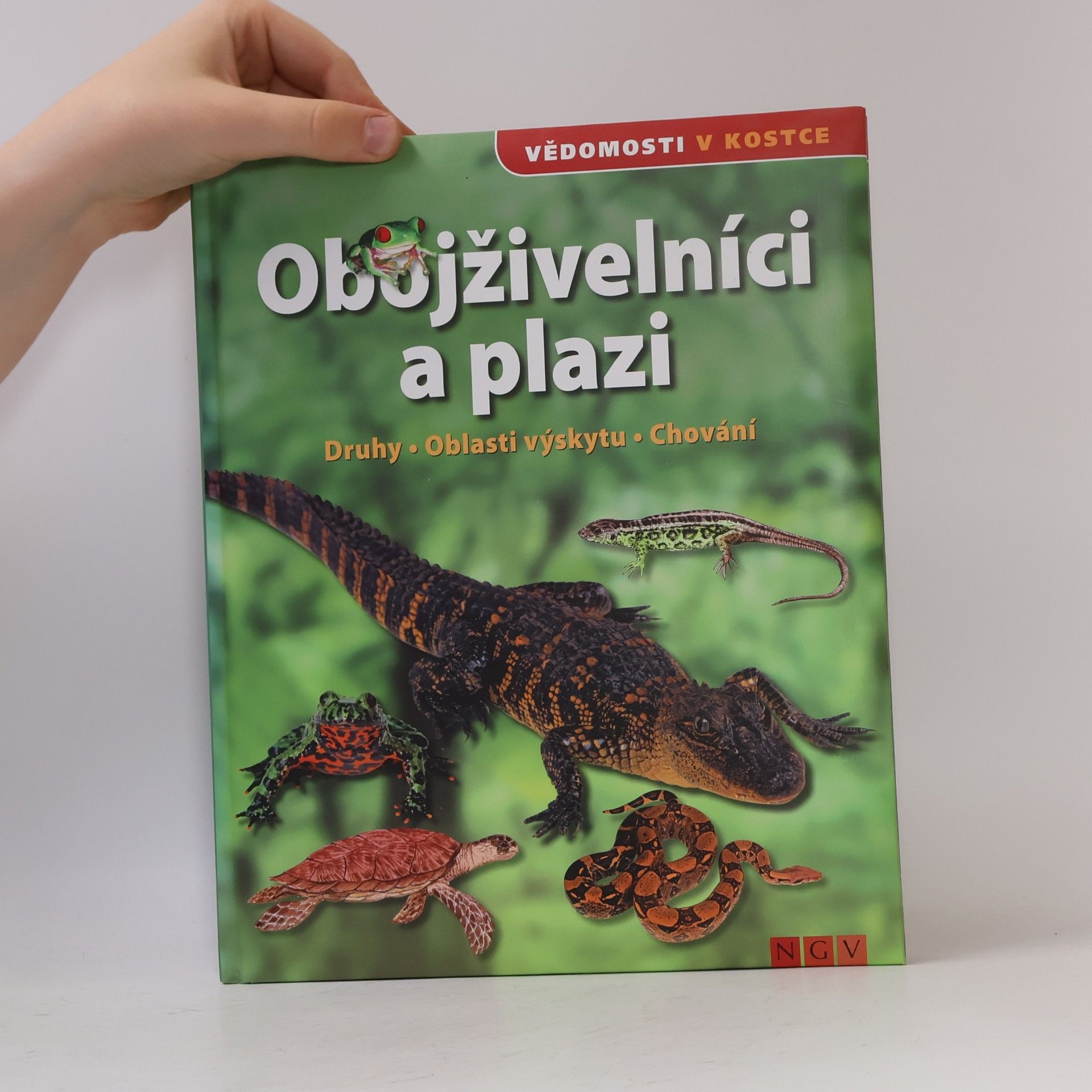 Martin Sobkuljak Obojživelníci a plazi