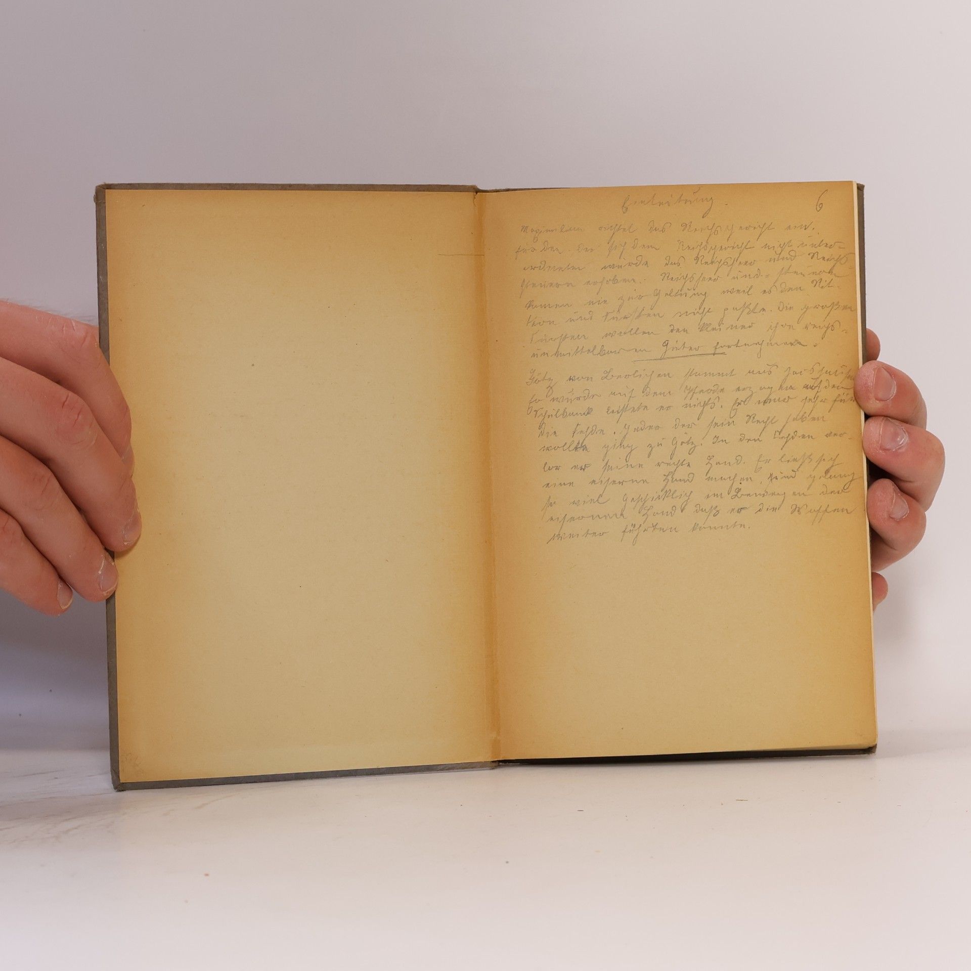 Johann Wolfgang von Goethe Meisterwerke der Literatur