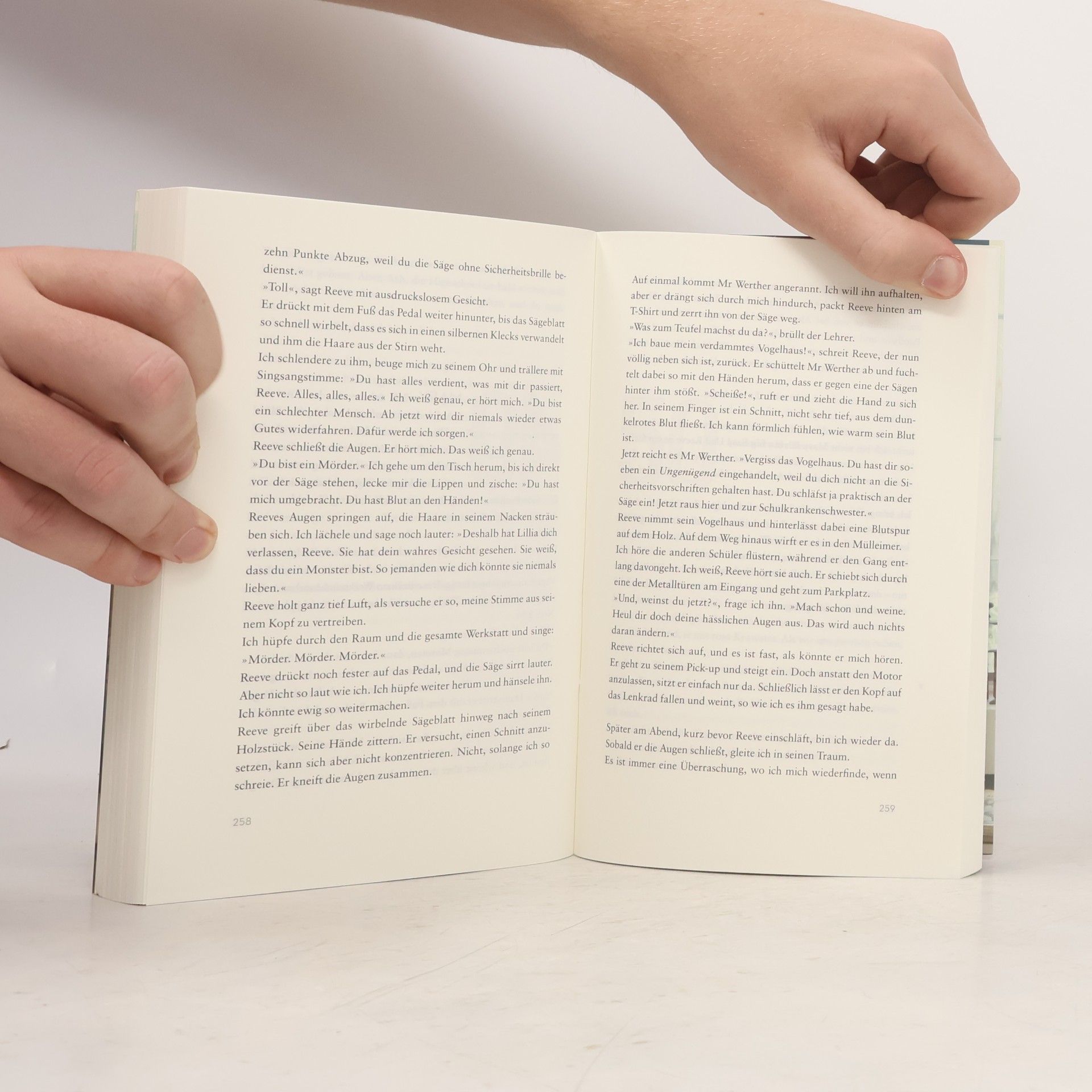 Jenny Han Asche zu Asche