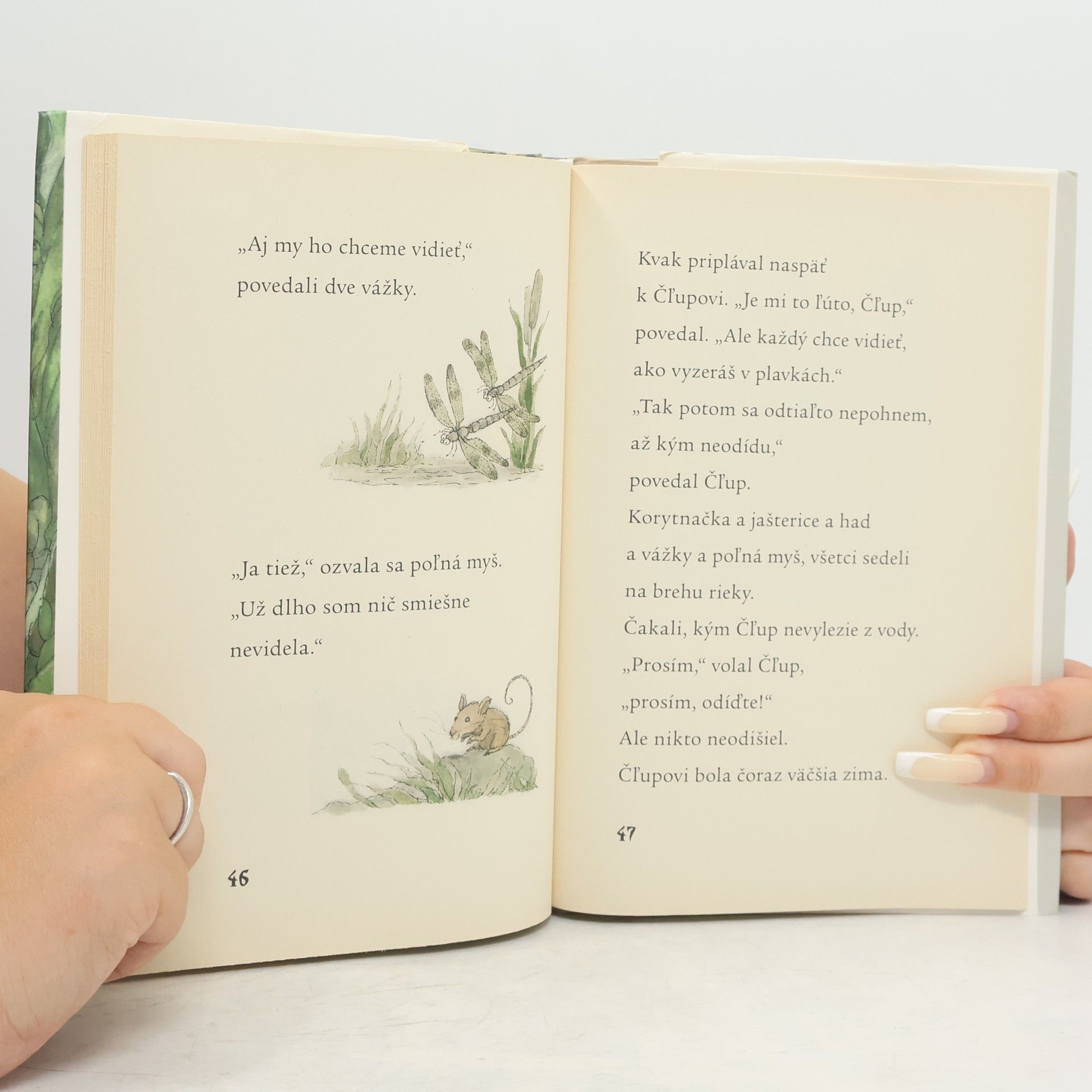 Arnold Lobel Kvak a Čľup sú kamaráti