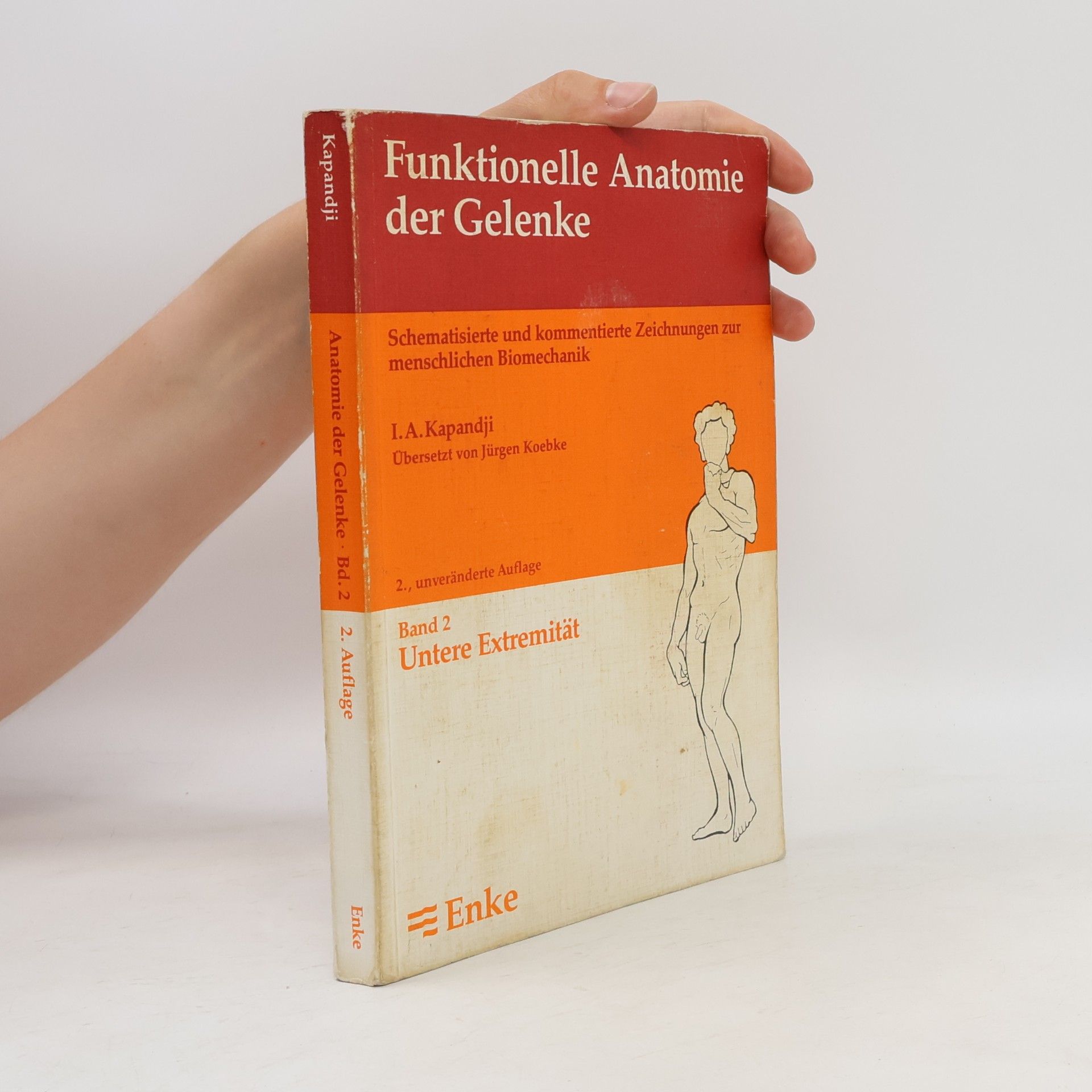 Funktionelle Anatomie der Gelenke