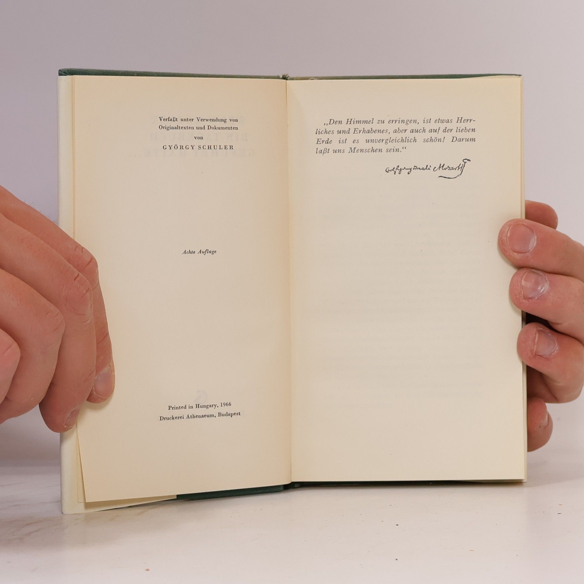 Autorenkollektiv Wenn Mozart ein Tagenbuch geführt hätte