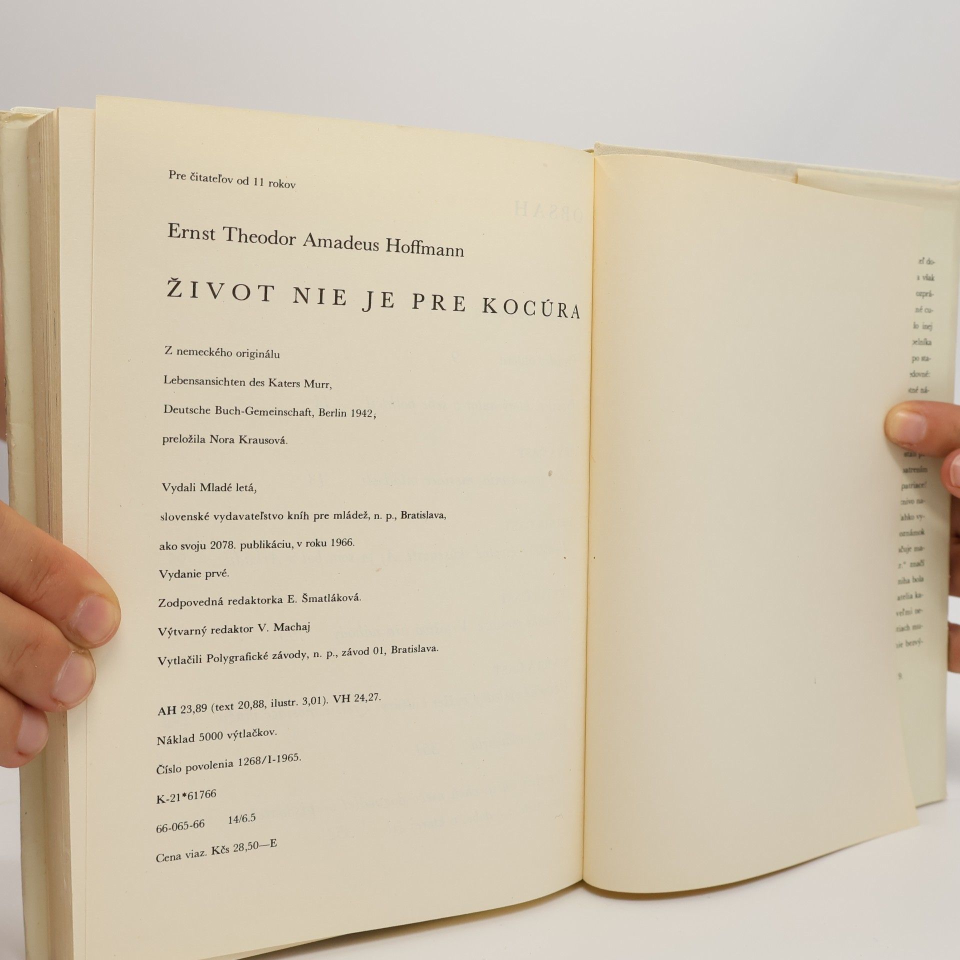 Ernst T. A. Hoffmann Život nie je pre kocúra