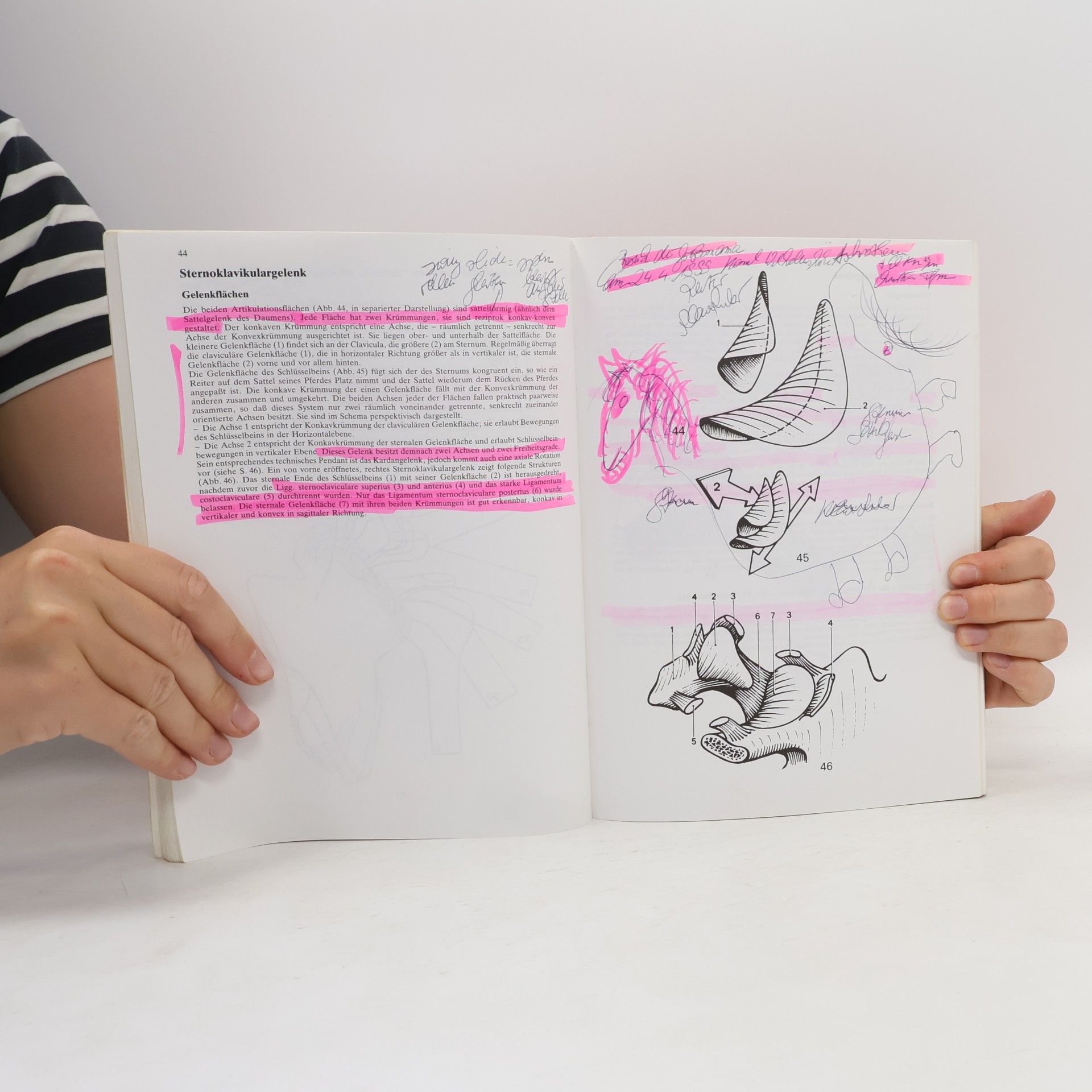 Adalbert I. Kapandji Funktionelle Anatomie der Gelenke : schematisierte und kommentierte Zeichnungen zur menschliche Biomechanik. Band 1 : Obere Extremität