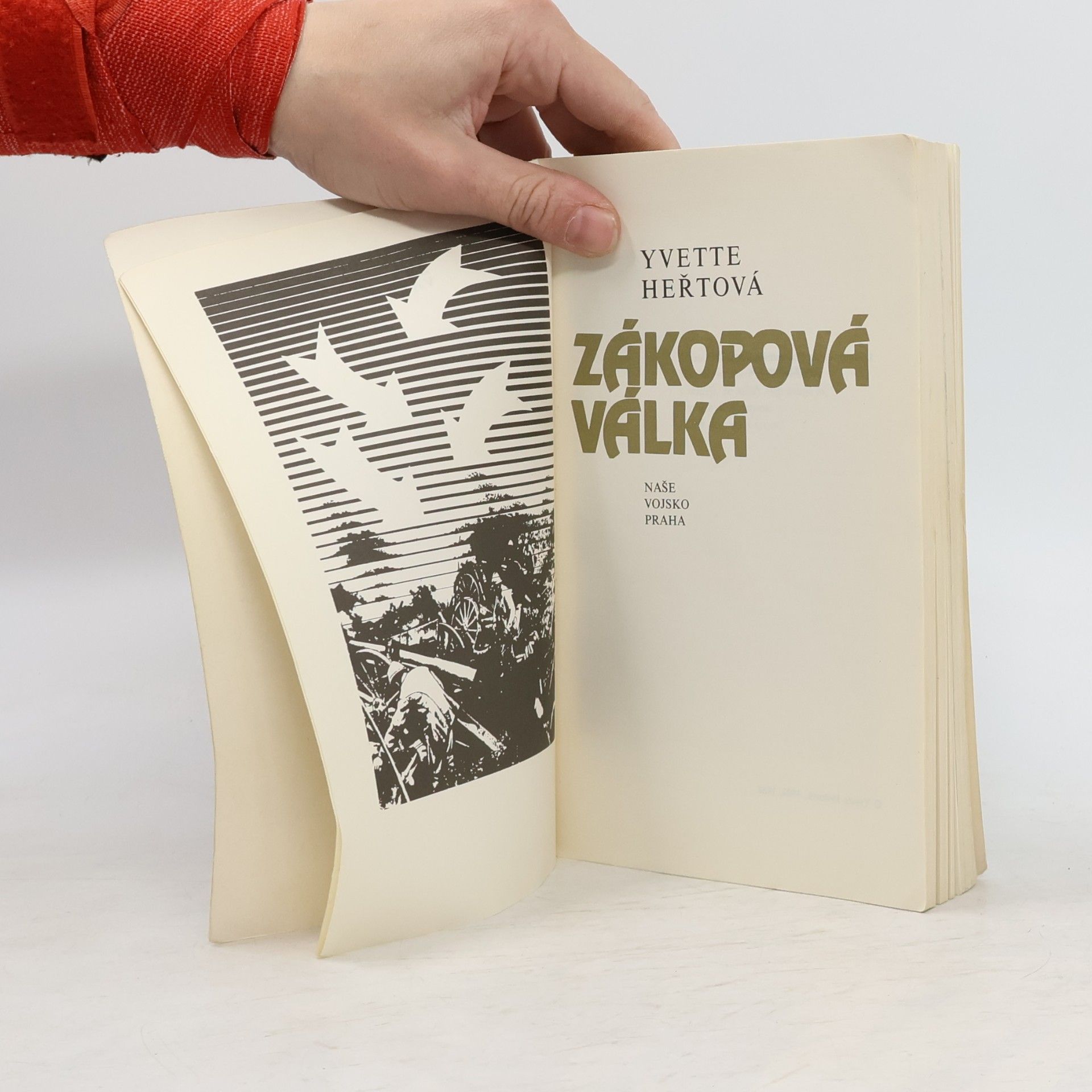Yvette Heřtová Zákopová válka