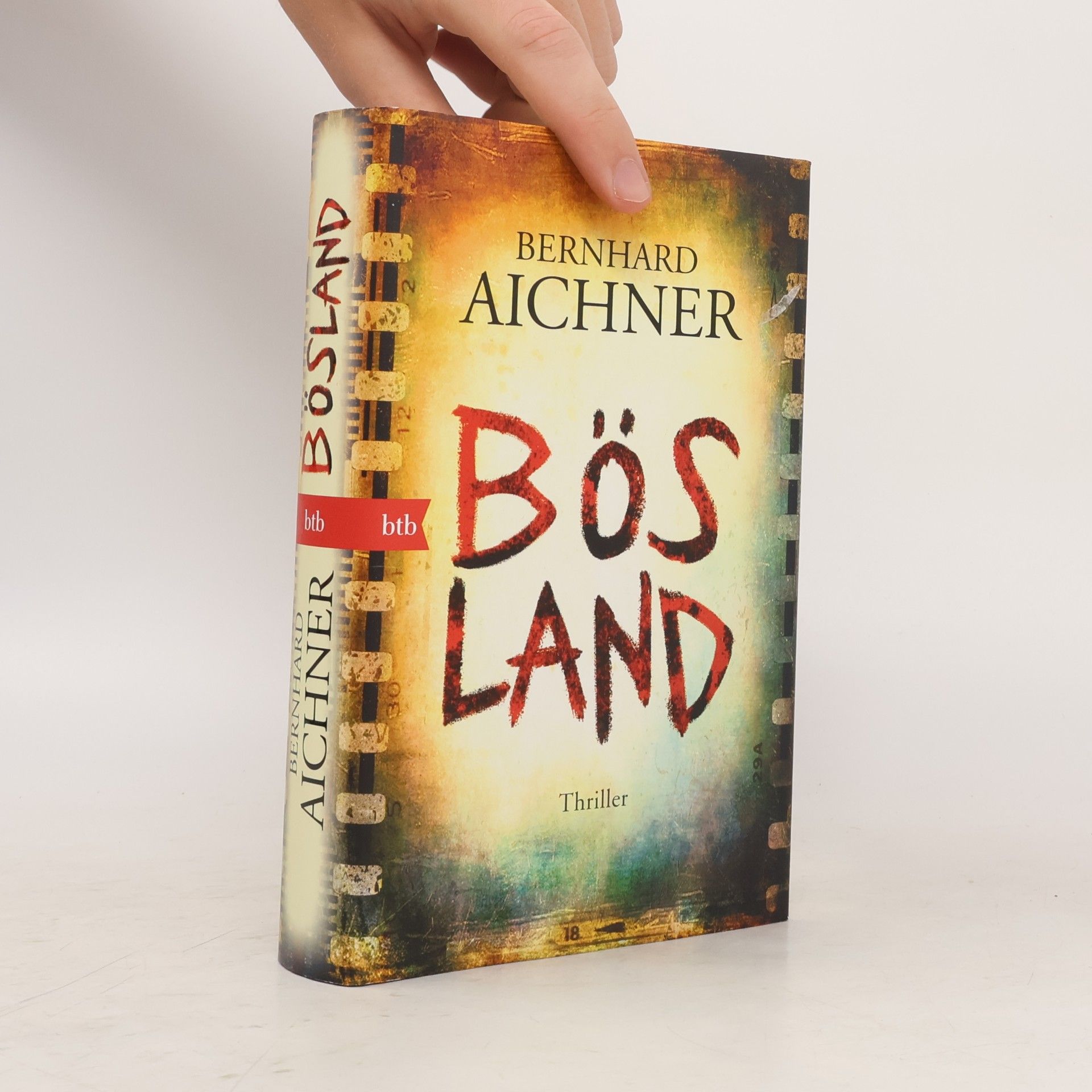 Bernhard Aichner Bösland