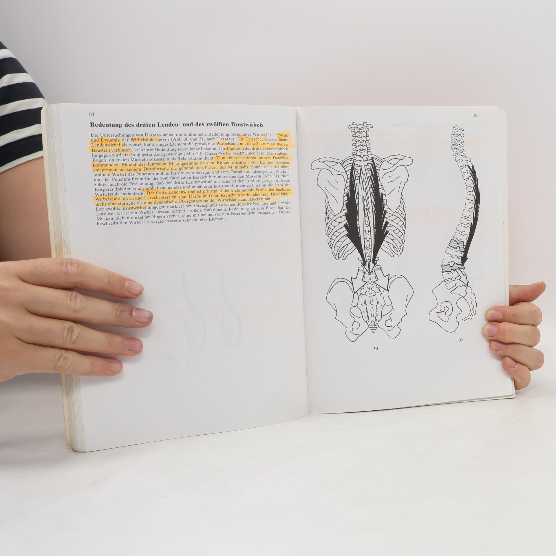 Ibrahim A. Kapandji Funktionelle Anatomie der Gelenke