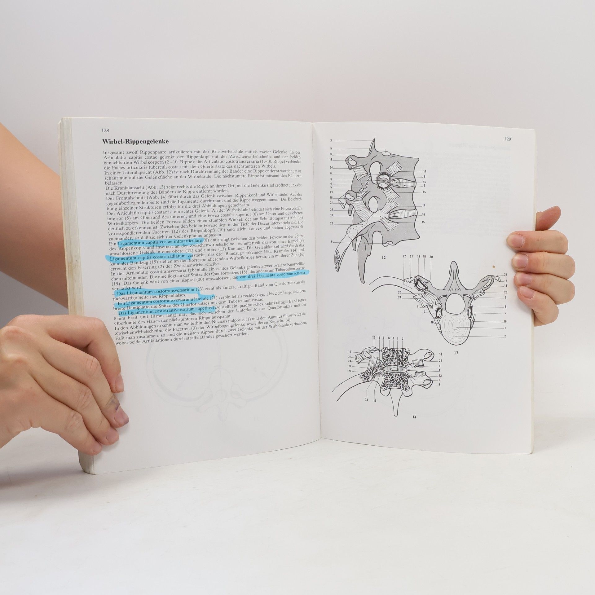 Ibrahim A. Kapandji Funktionelle Anatomie der Gelenke