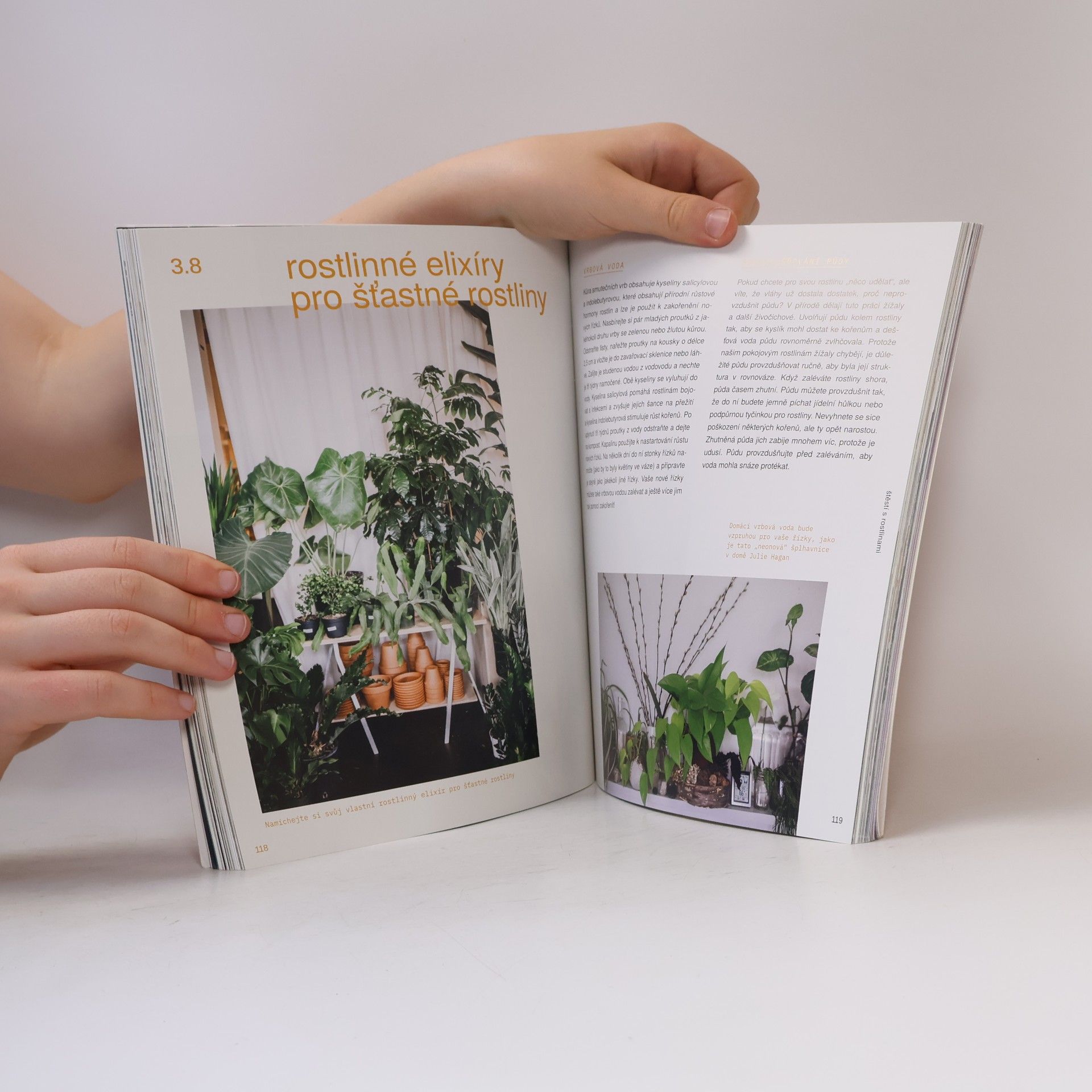 Igor Josifovic Plant Tribe