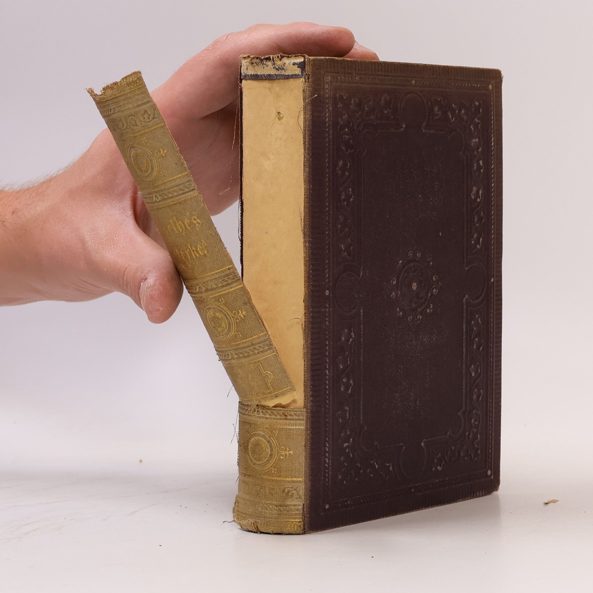Johann Wolfgang von Goethe Goethe's Werke 3