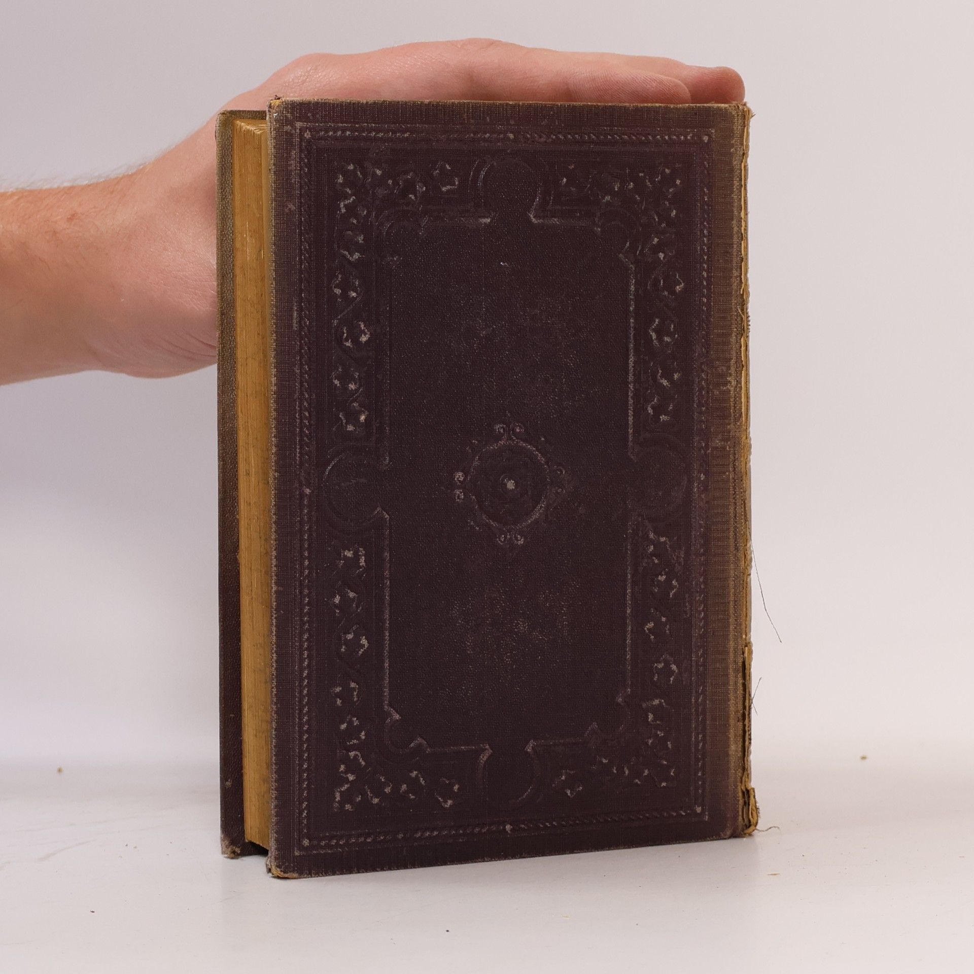 Johann Wolfgang von Goethe Goethe's Werke 3