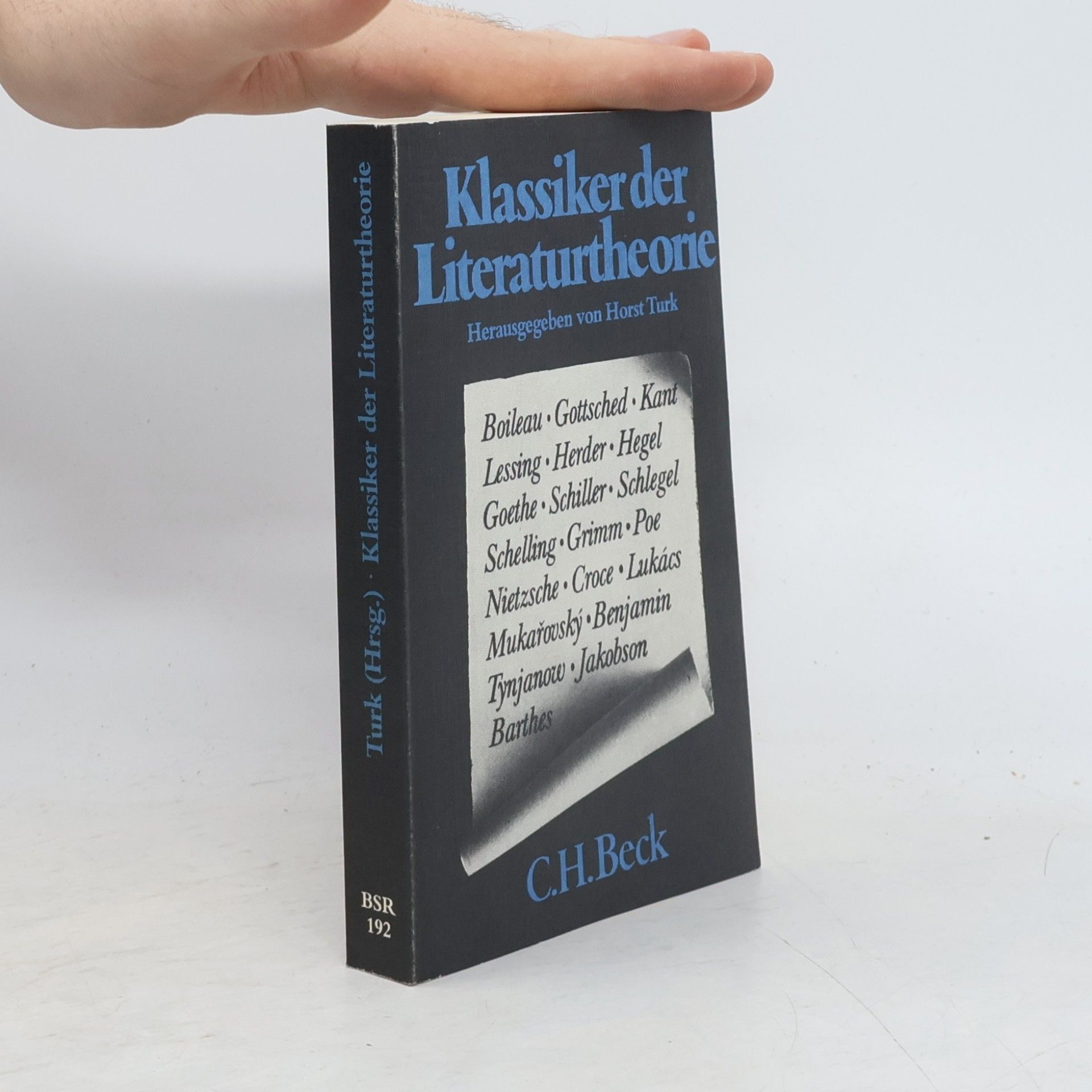 Horst Turk Klassiker der Literaturtheorie