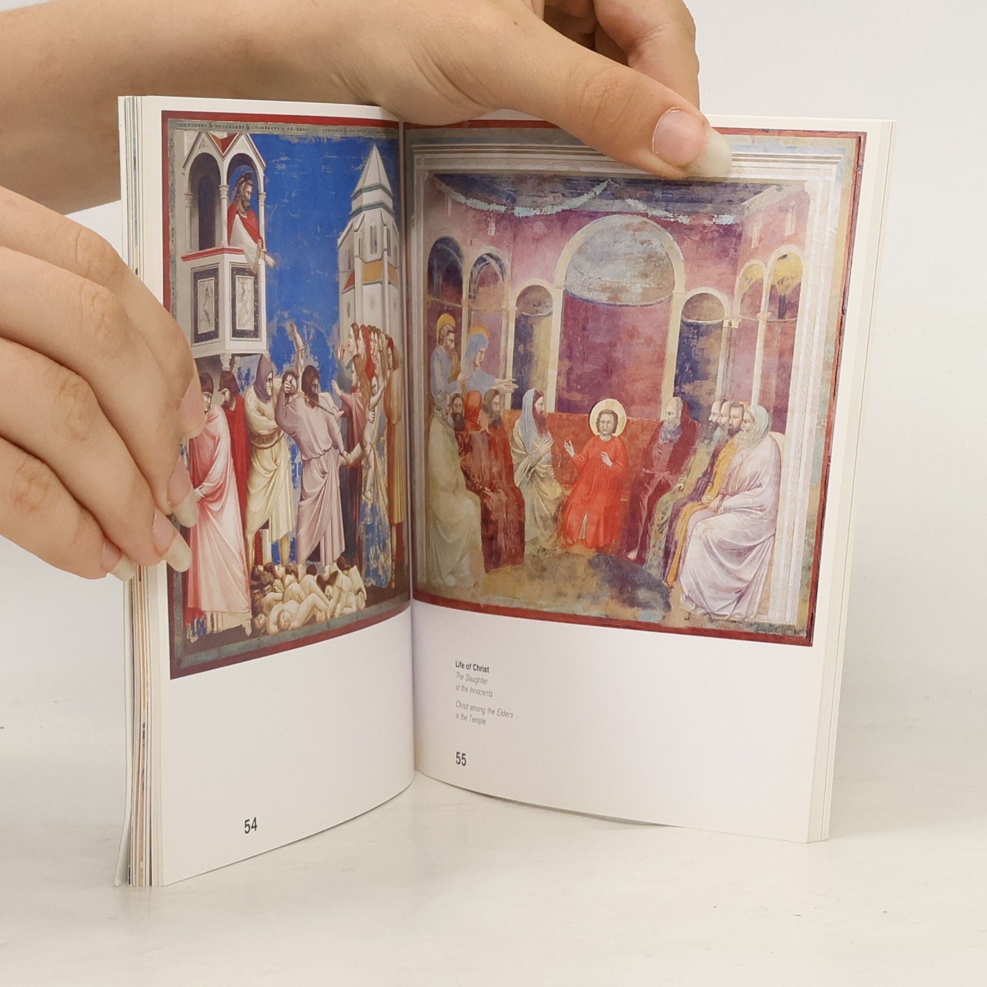 Roberta D. Adda Giotto in Padua