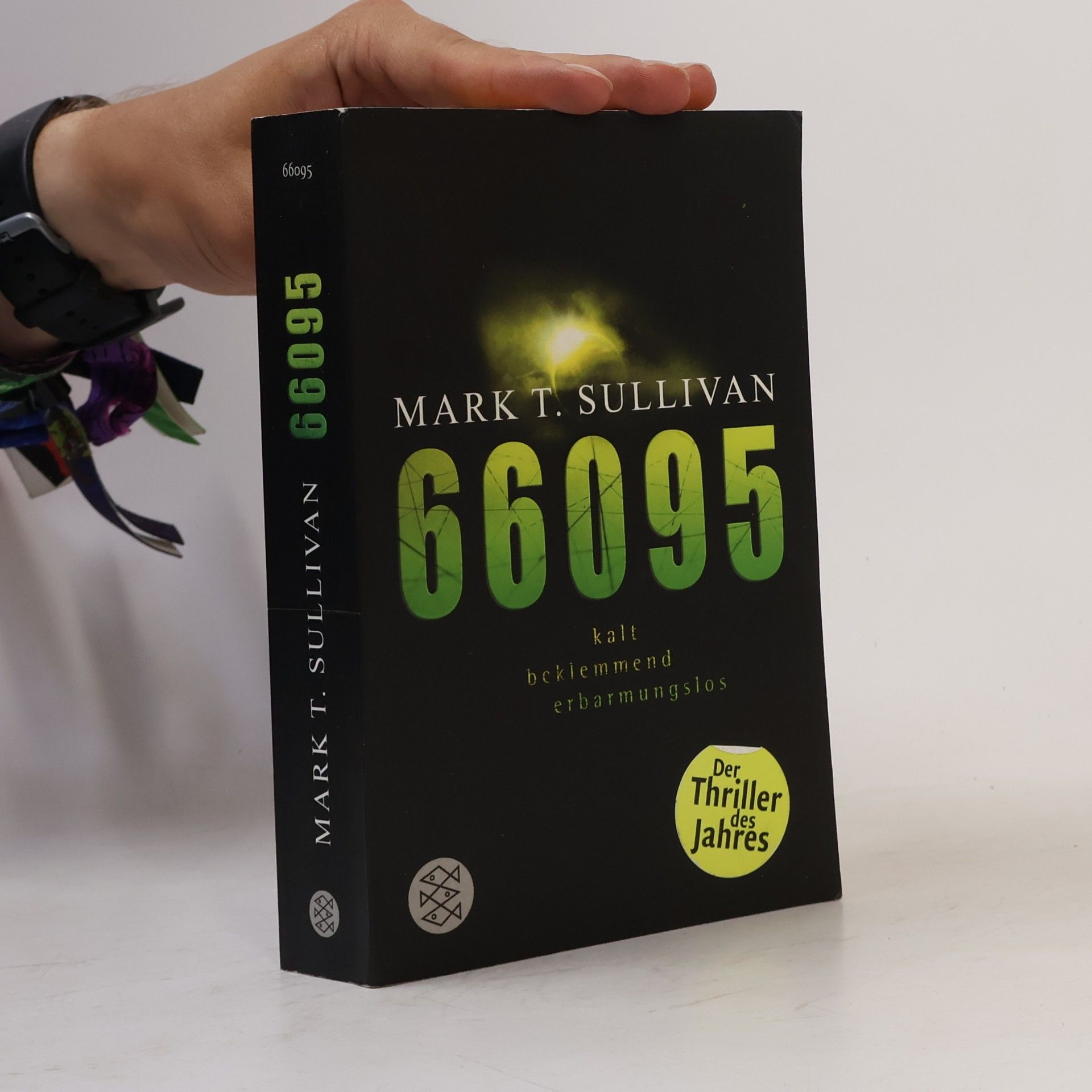 66095