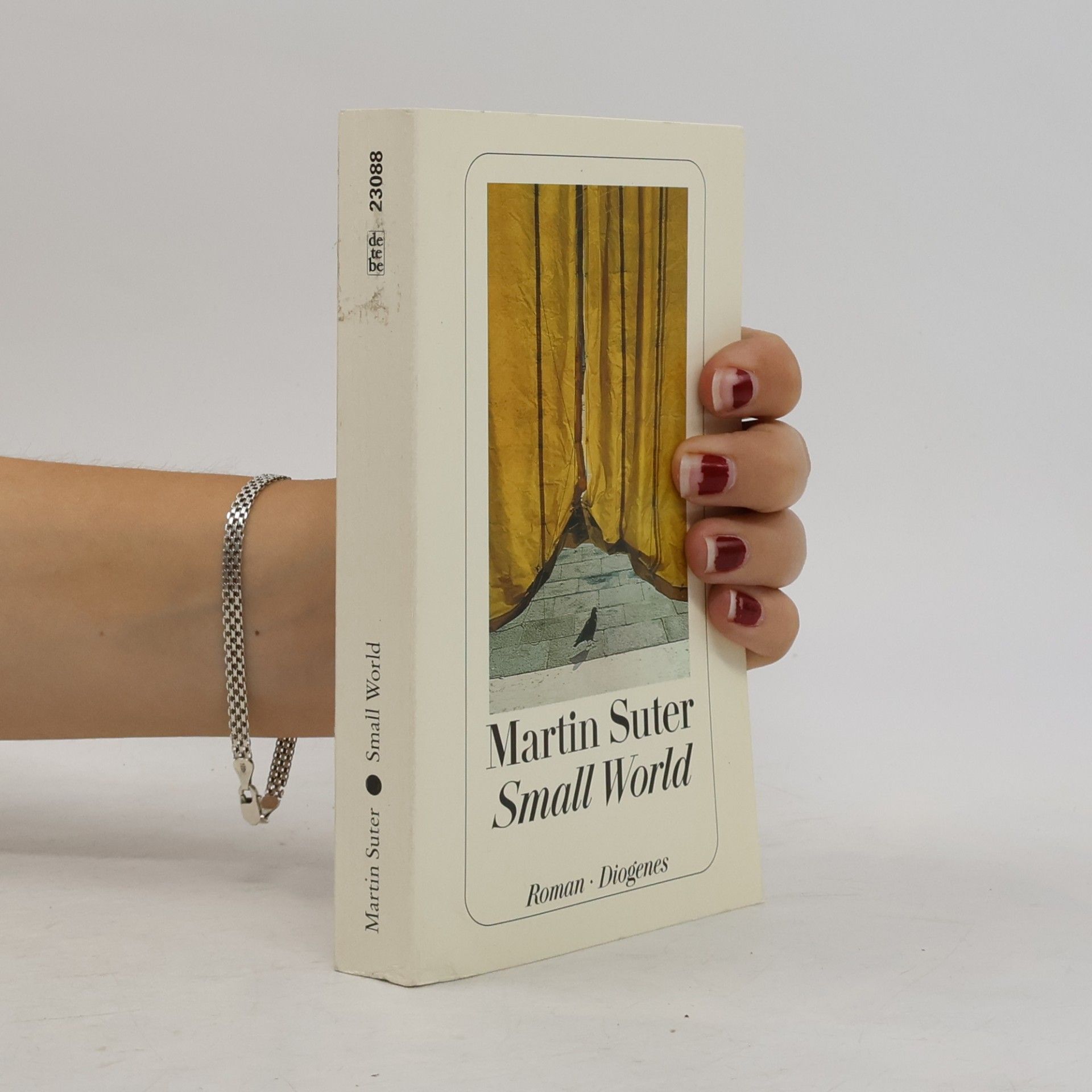 Martin Suter Small World