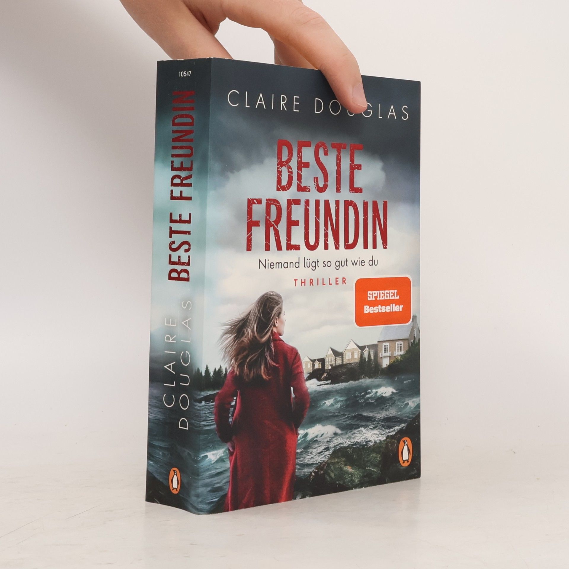 Claire Douglas Beste Freundin - niemand lügt so gut wie du