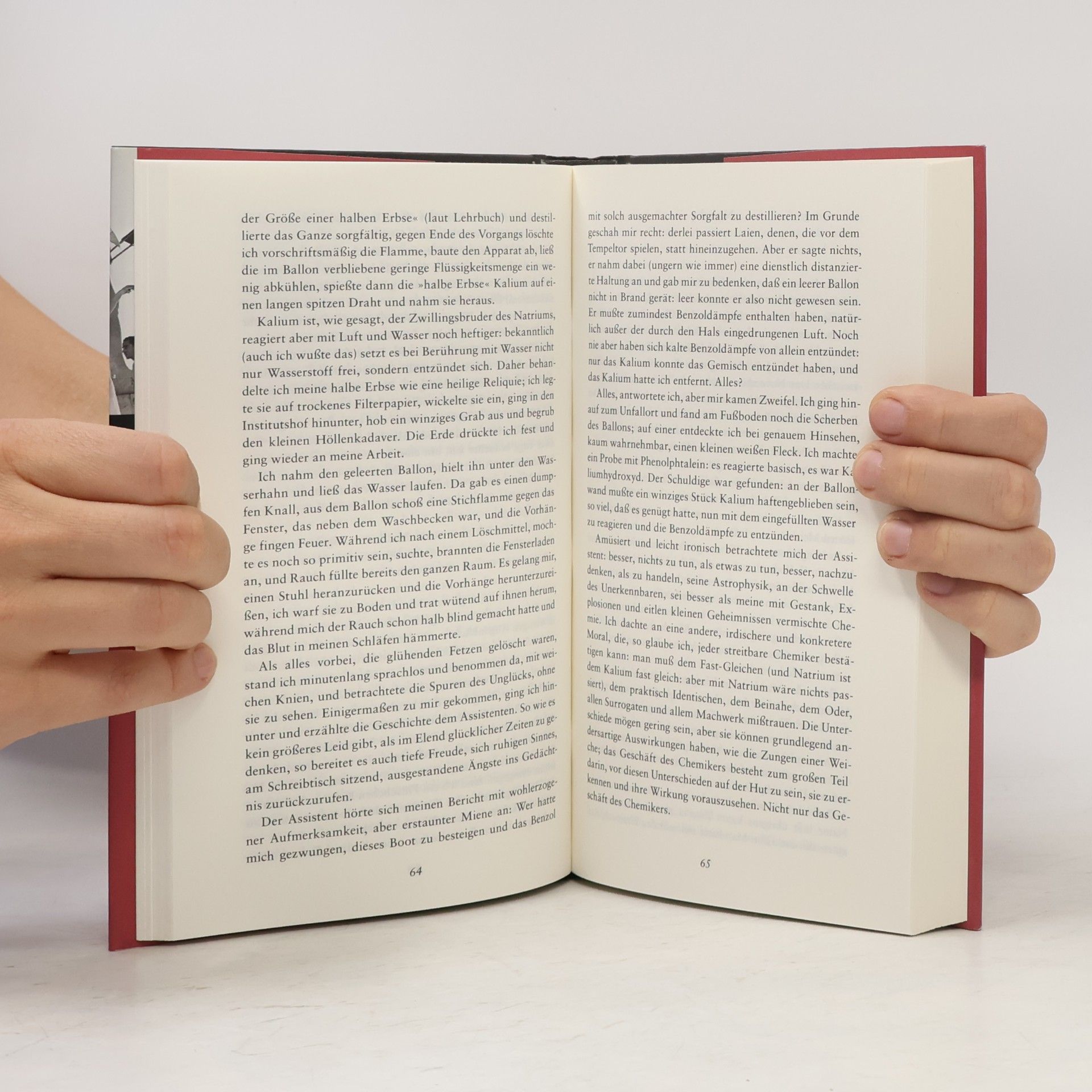 Primo Levi Das periodische System