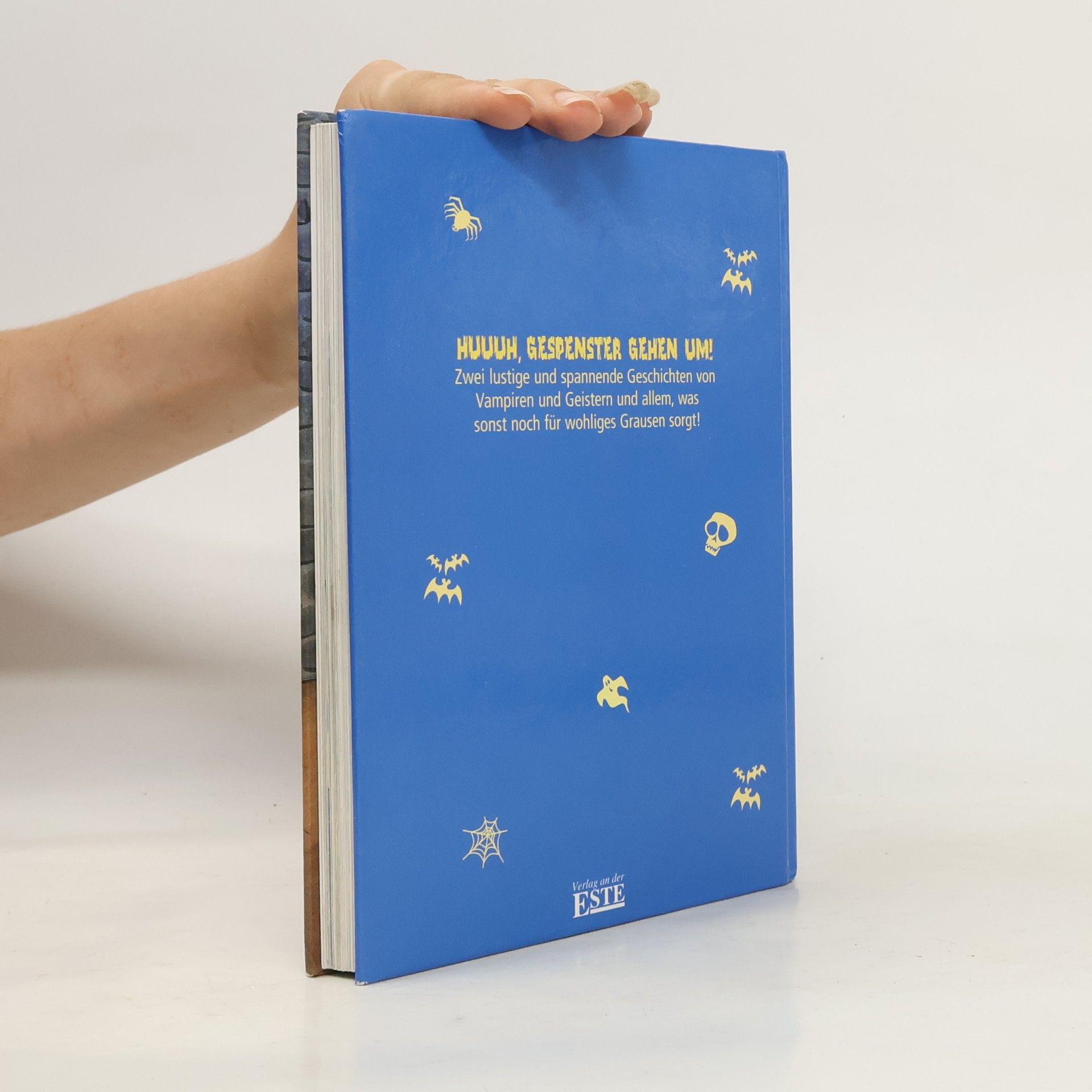 Autores varios Achtung, Spukgefahr!