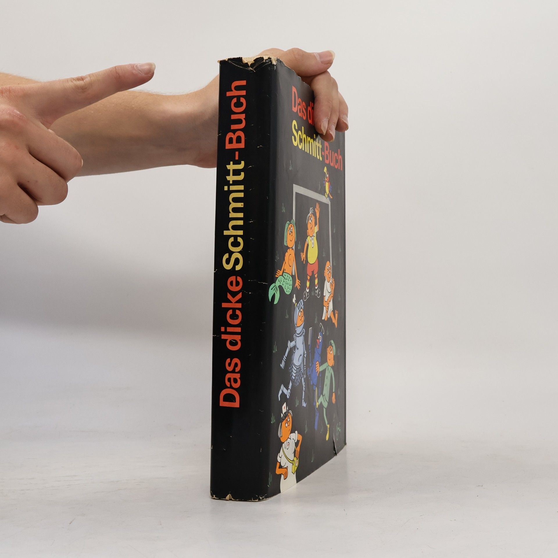 Autorenkollektiv Das dicke Schrader-Buch