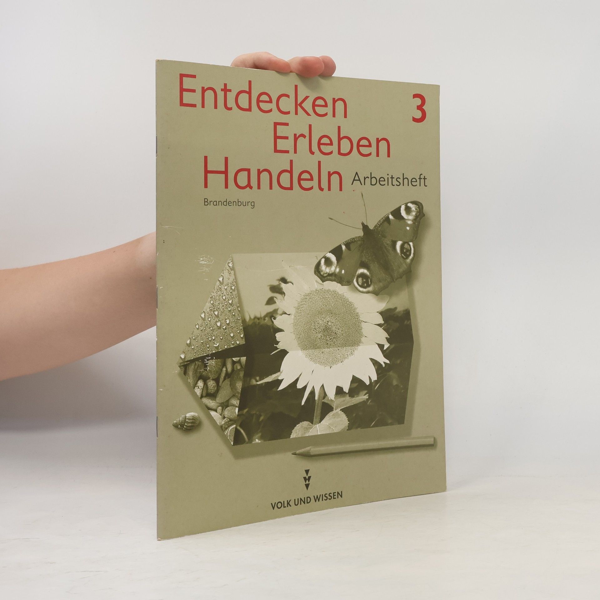Anneliese Kröber Entdecken, erleben, handeln - Arbeitsheft Brandenburg