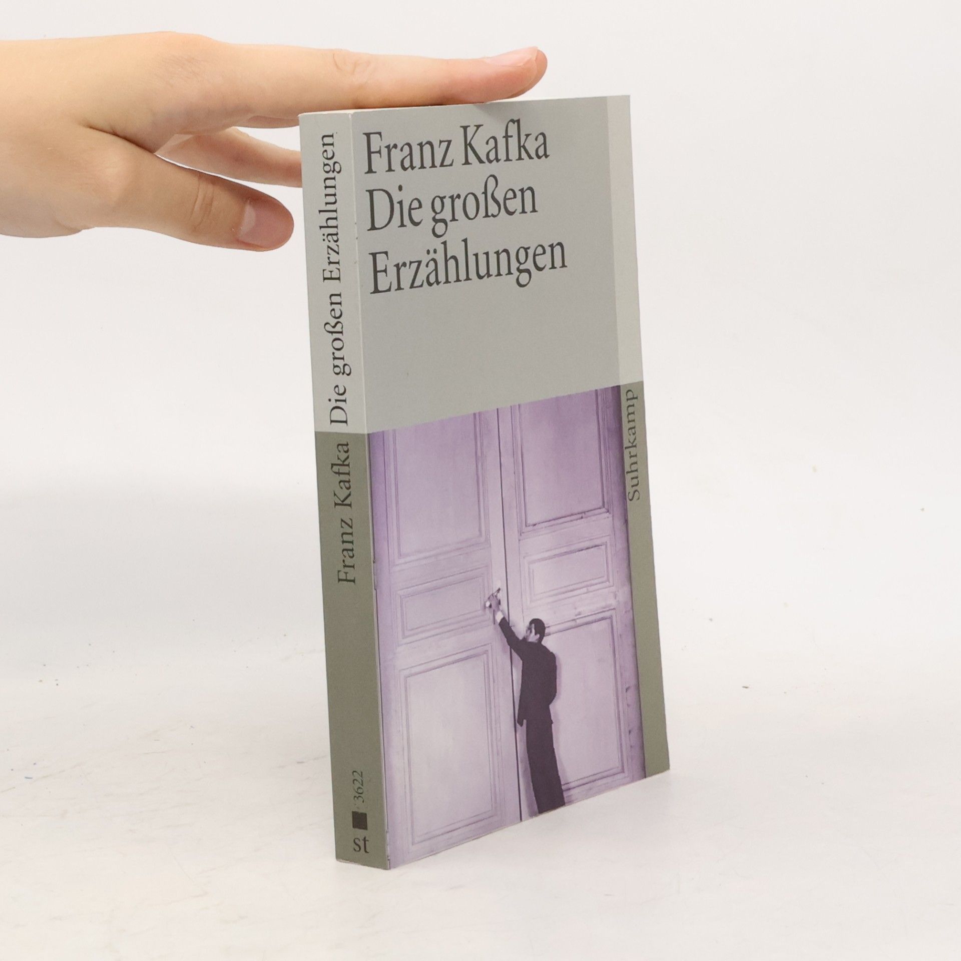 Franz Kafka Die großen Erzählungen