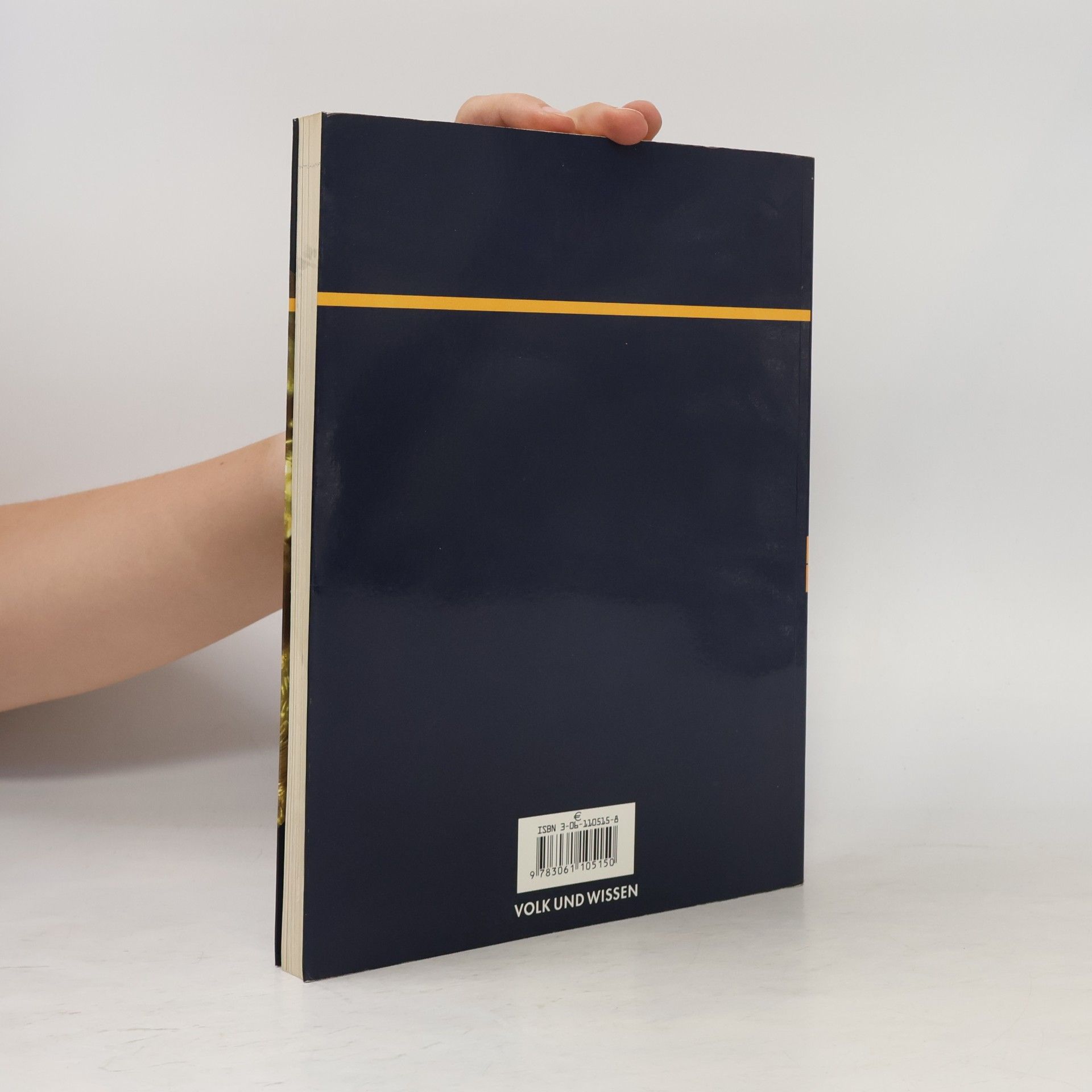 Anneliese Hoenack Geschichte plus, Lehrbuch, Ausgabe Brandenburg