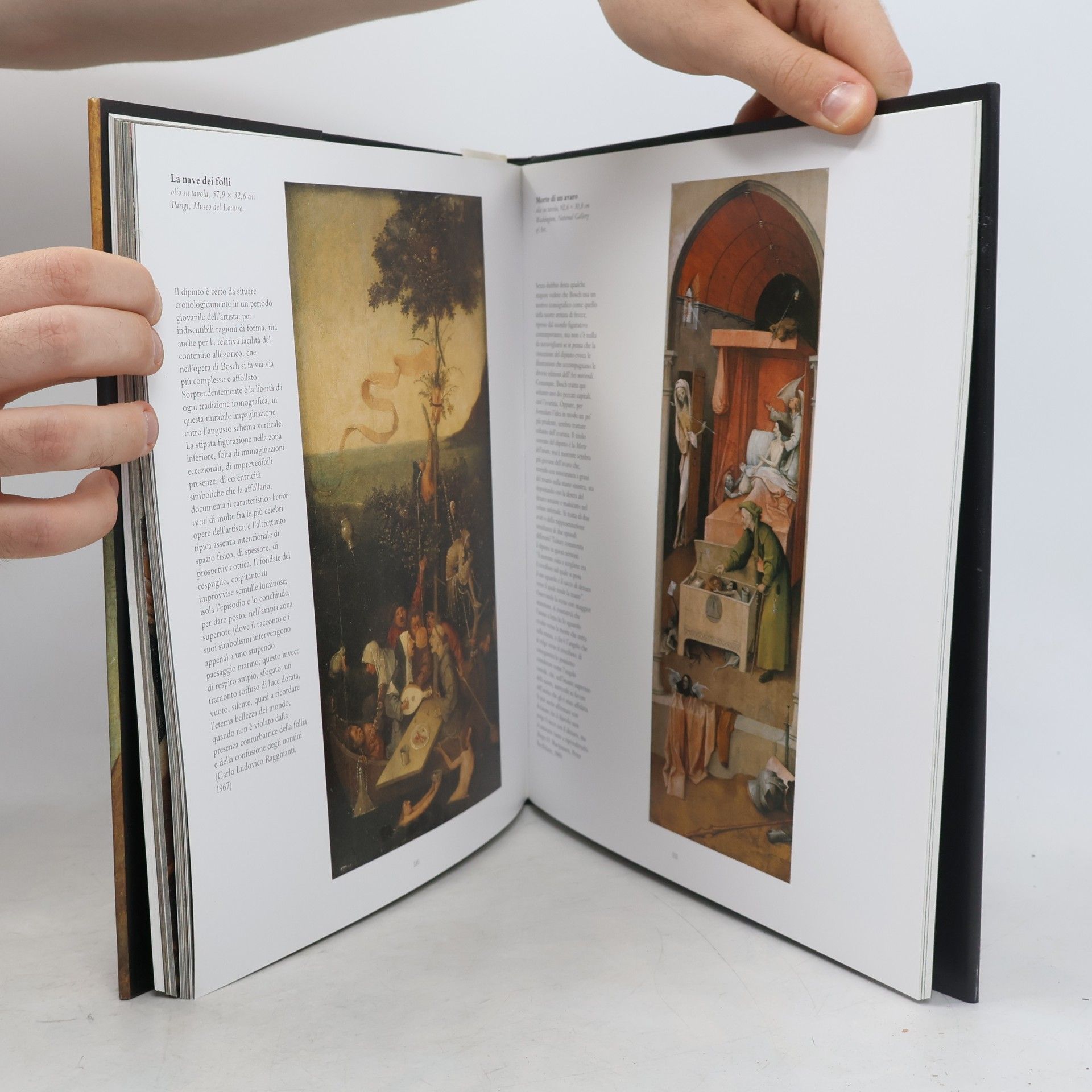 Hieronymus Bosch Bosch