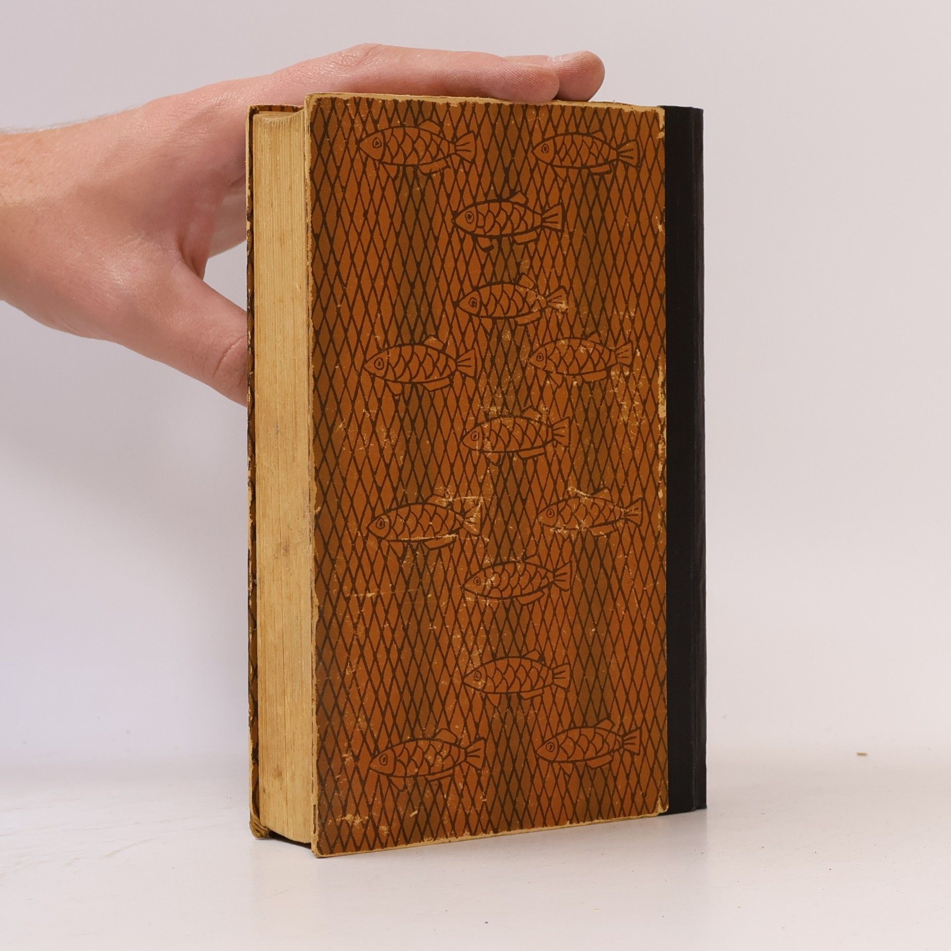 Robert Seitz Das Börshooper Buch