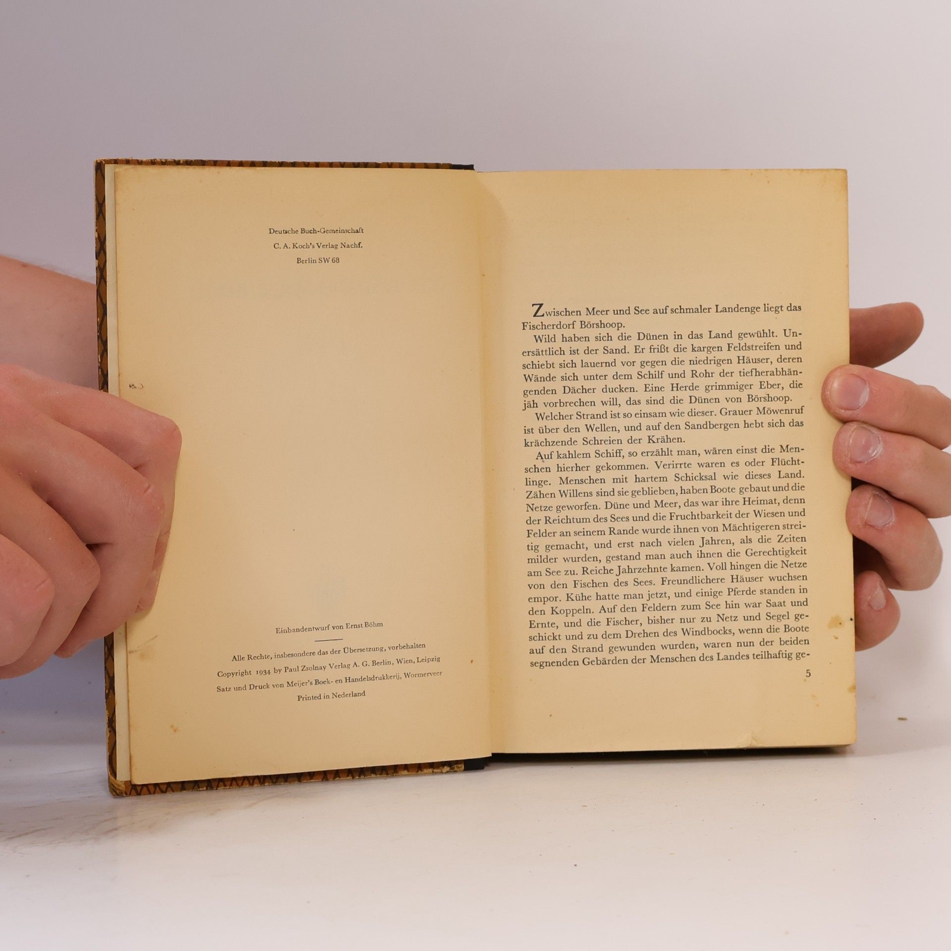 Robert Seitz Das Börshooper Buch