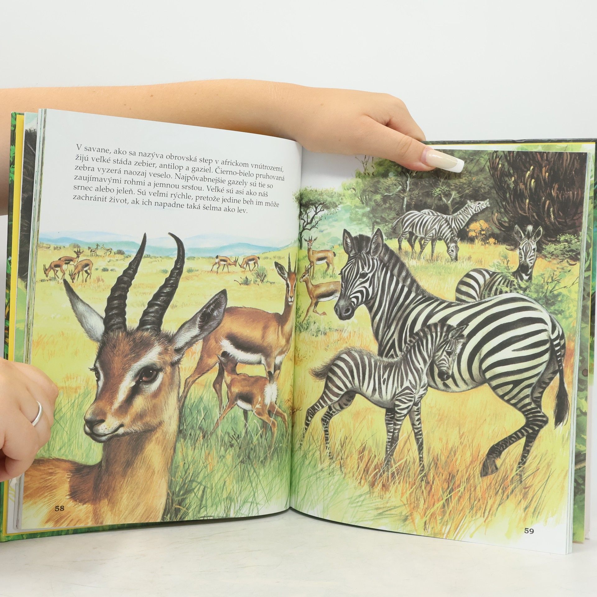Various authors Moja najkrajšia knížka o zvieratkách