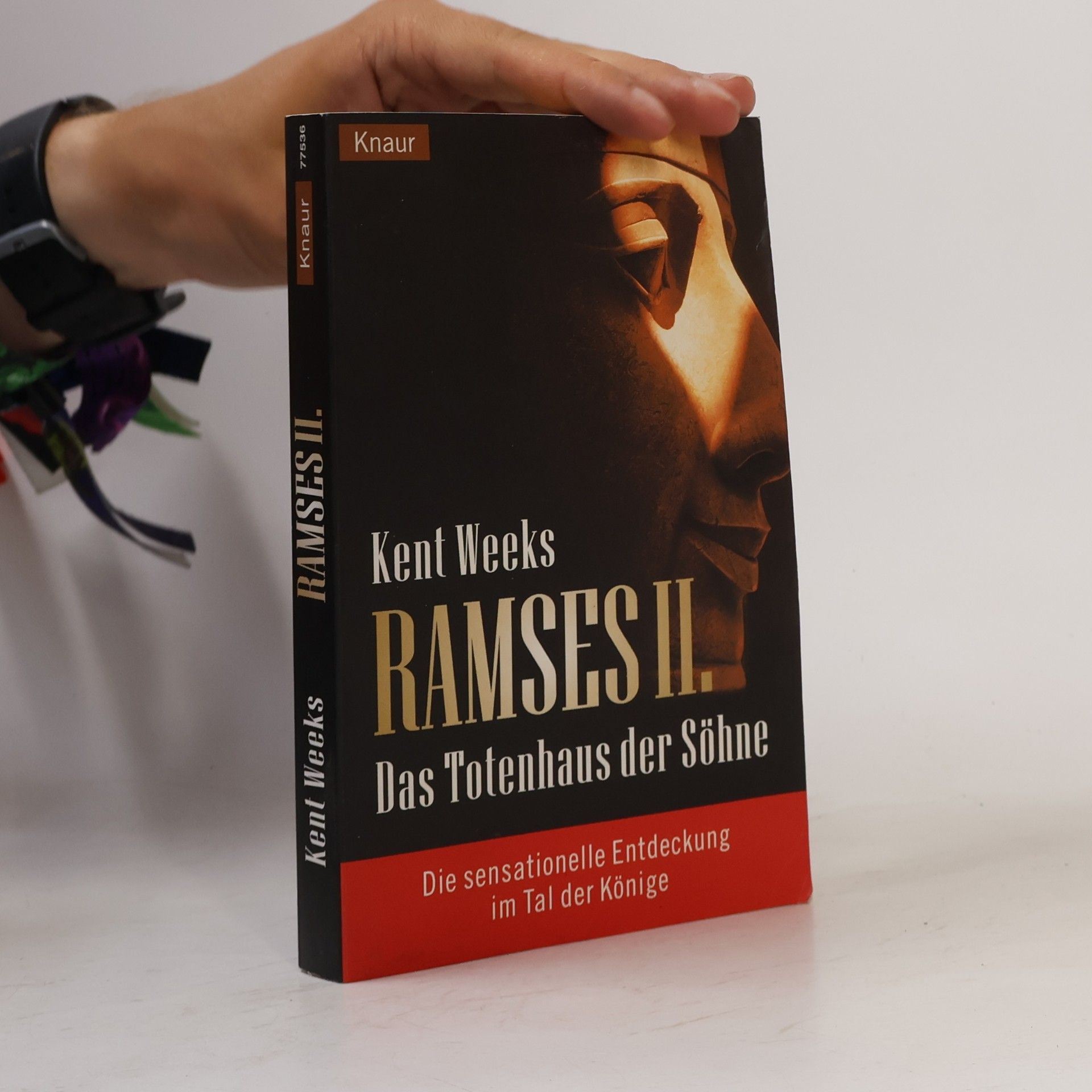 Kent R. Weeks Ramses II. - das Totenhaus der Söhne