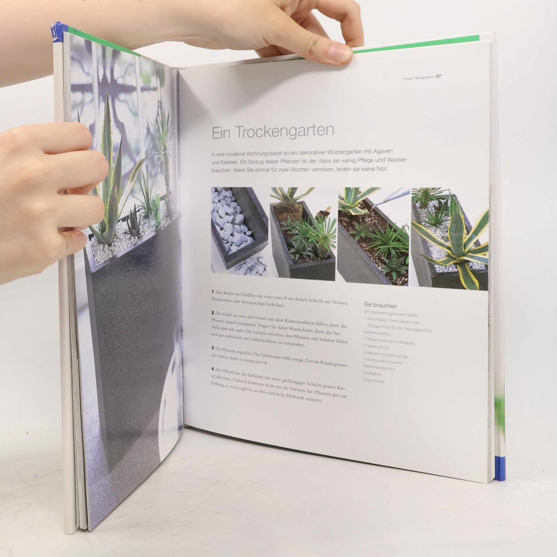 Diana Yakeley Der Indoor Garten