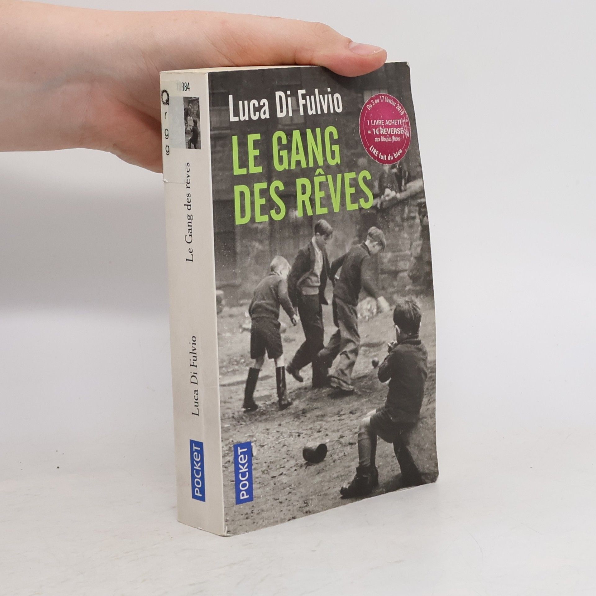Luca Di Fulvio Le Gang des rêves