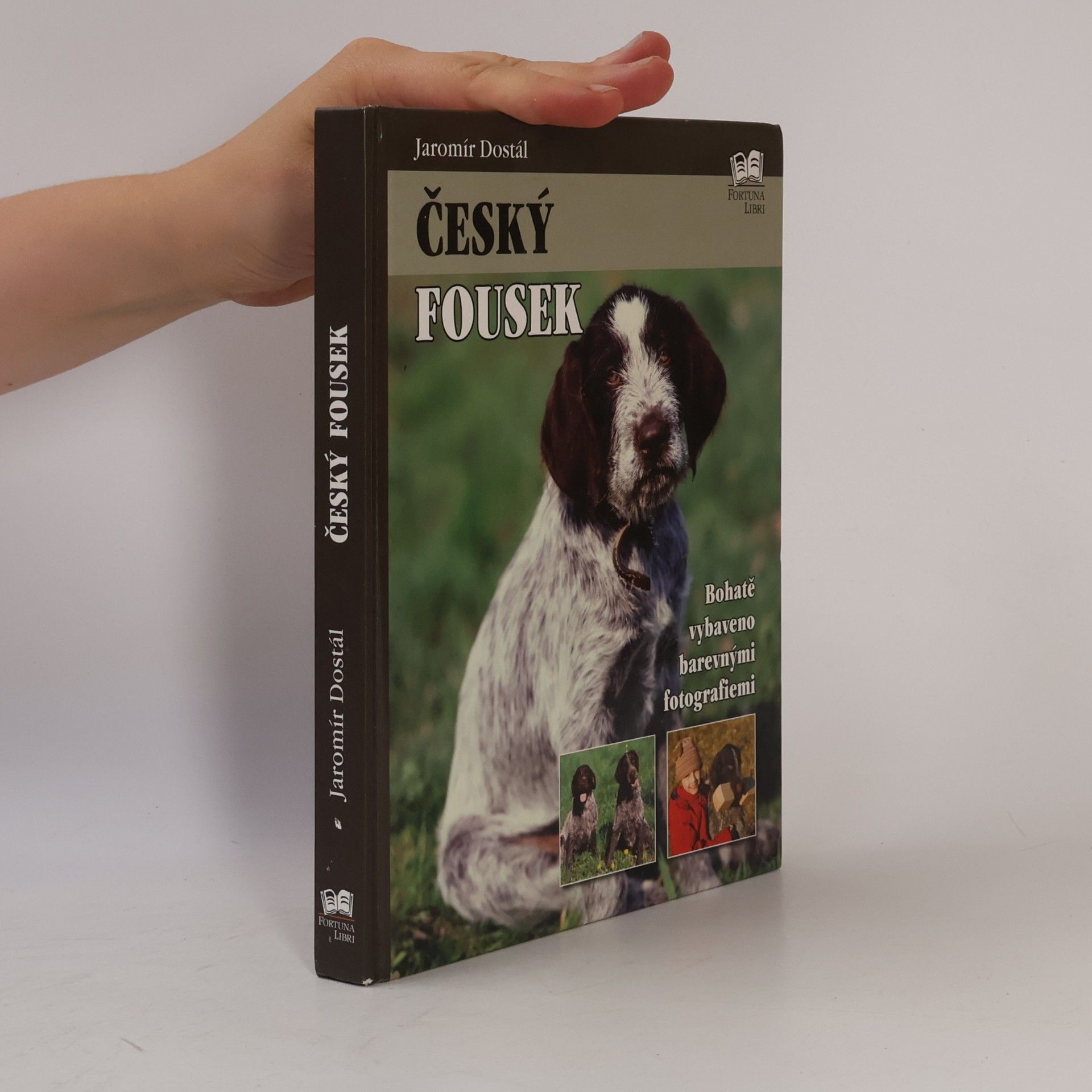 Jaromír Dostál Český fousek