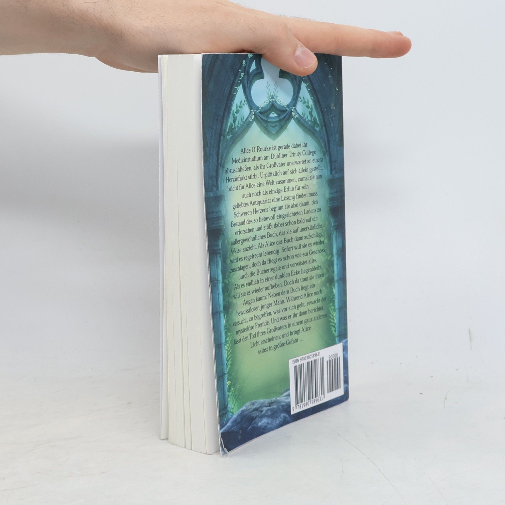 Lara Steel Das Buch der Sinne