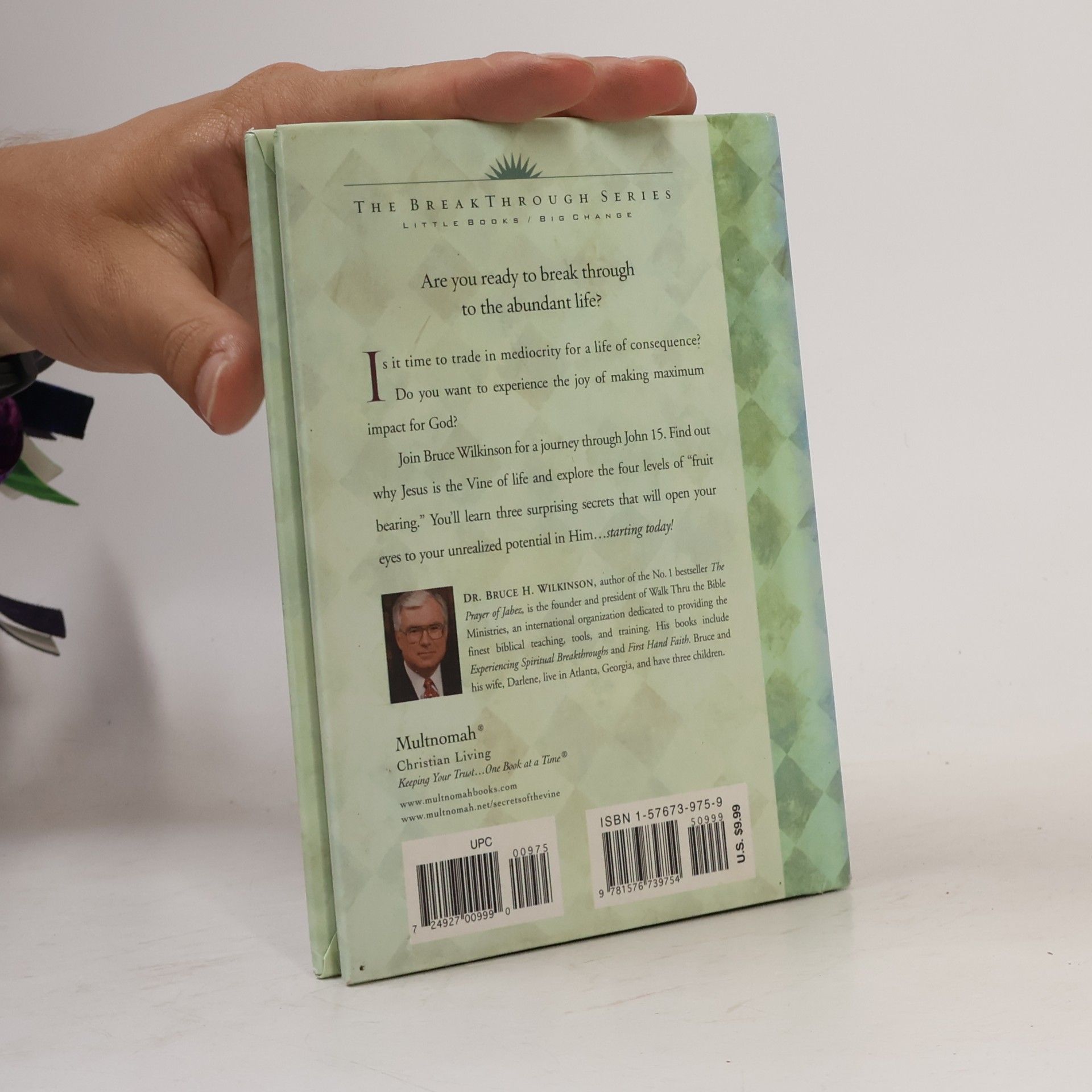Bruce Wilkinson Secrets of the vine