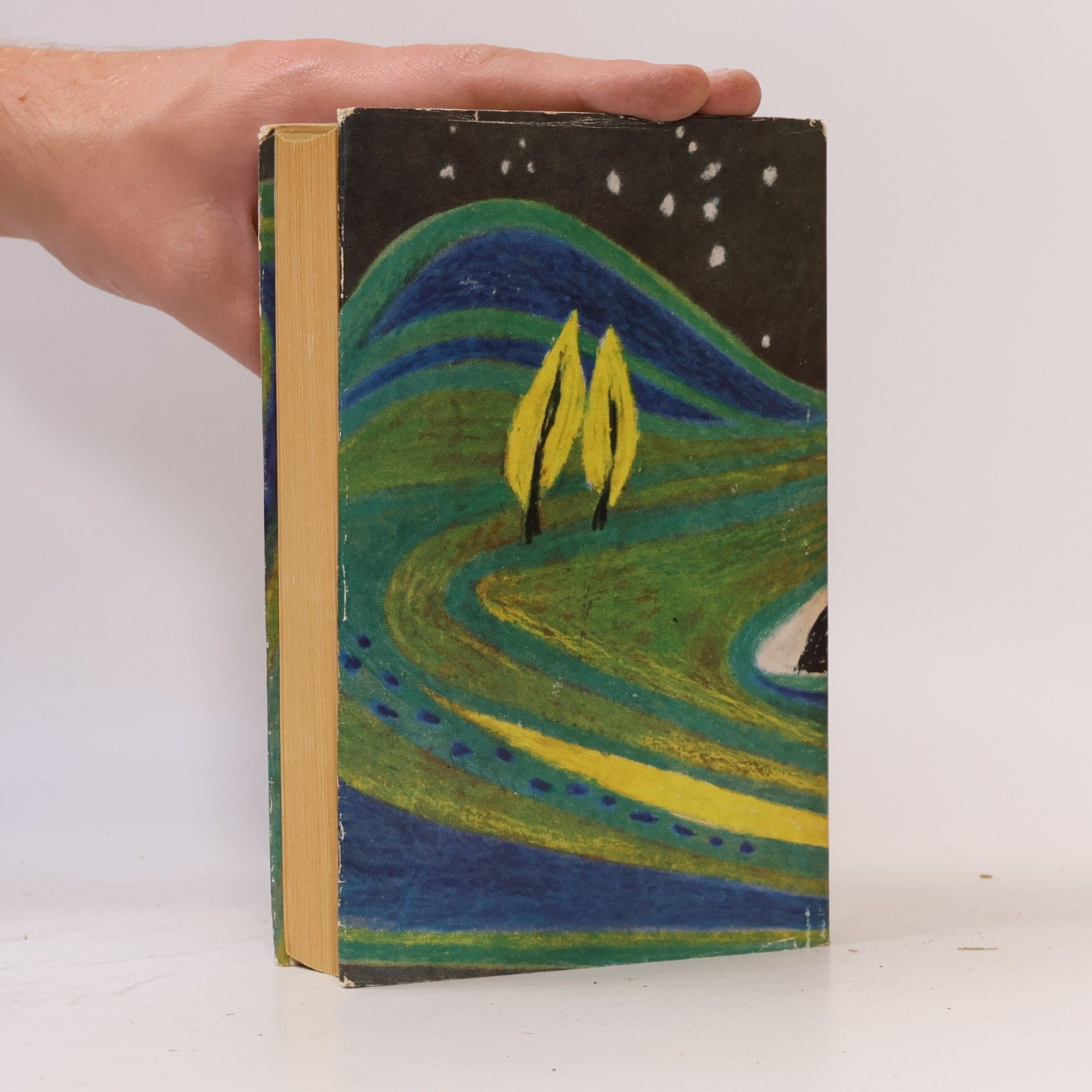 Halldór Laxness Sein eigener Herr
