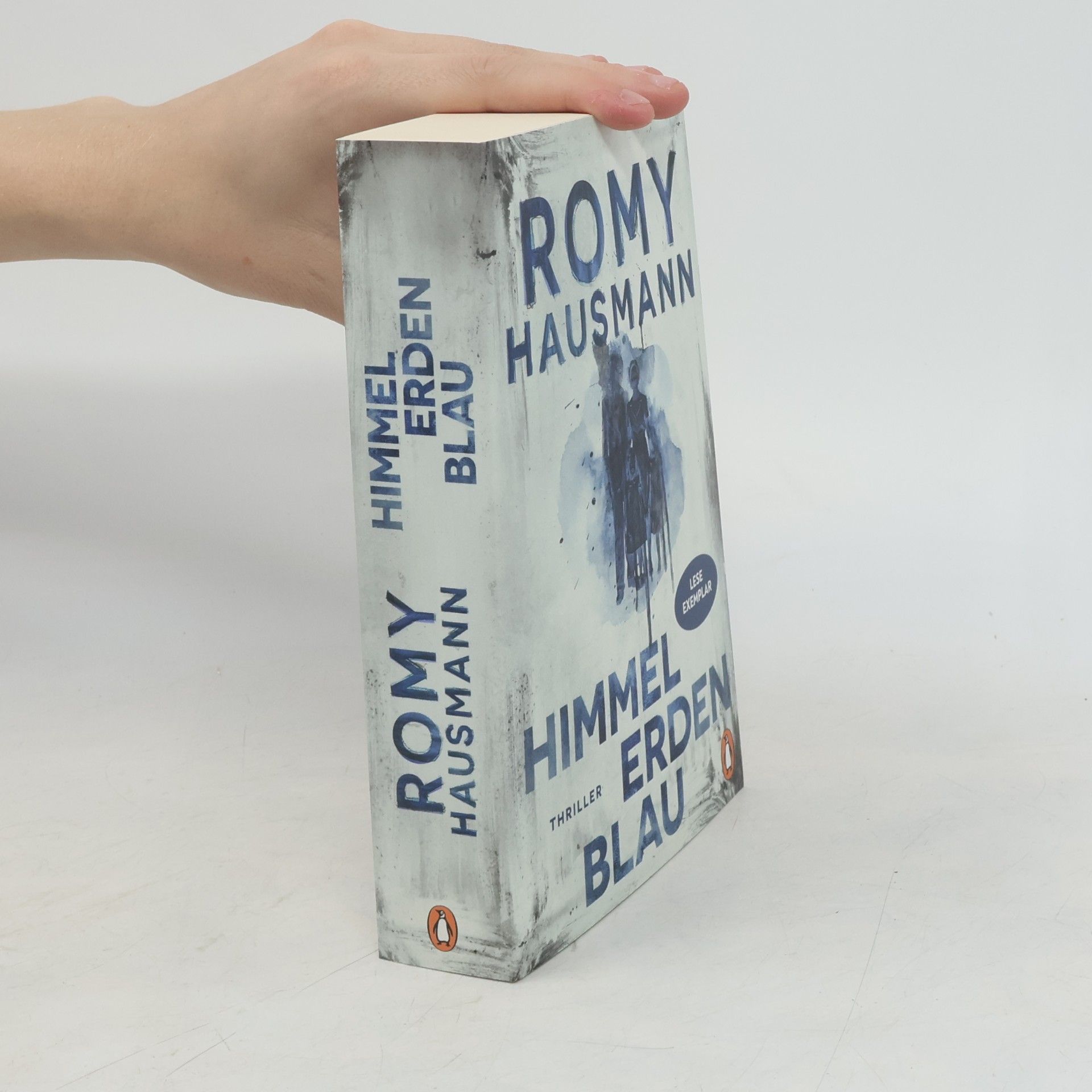 Romy Hausmann Himmelerdenblau
