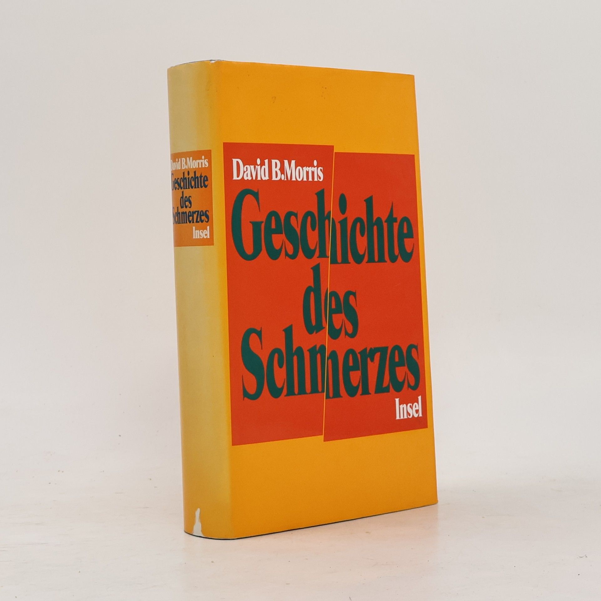 David B. Morris Geschichte des Schmerzes