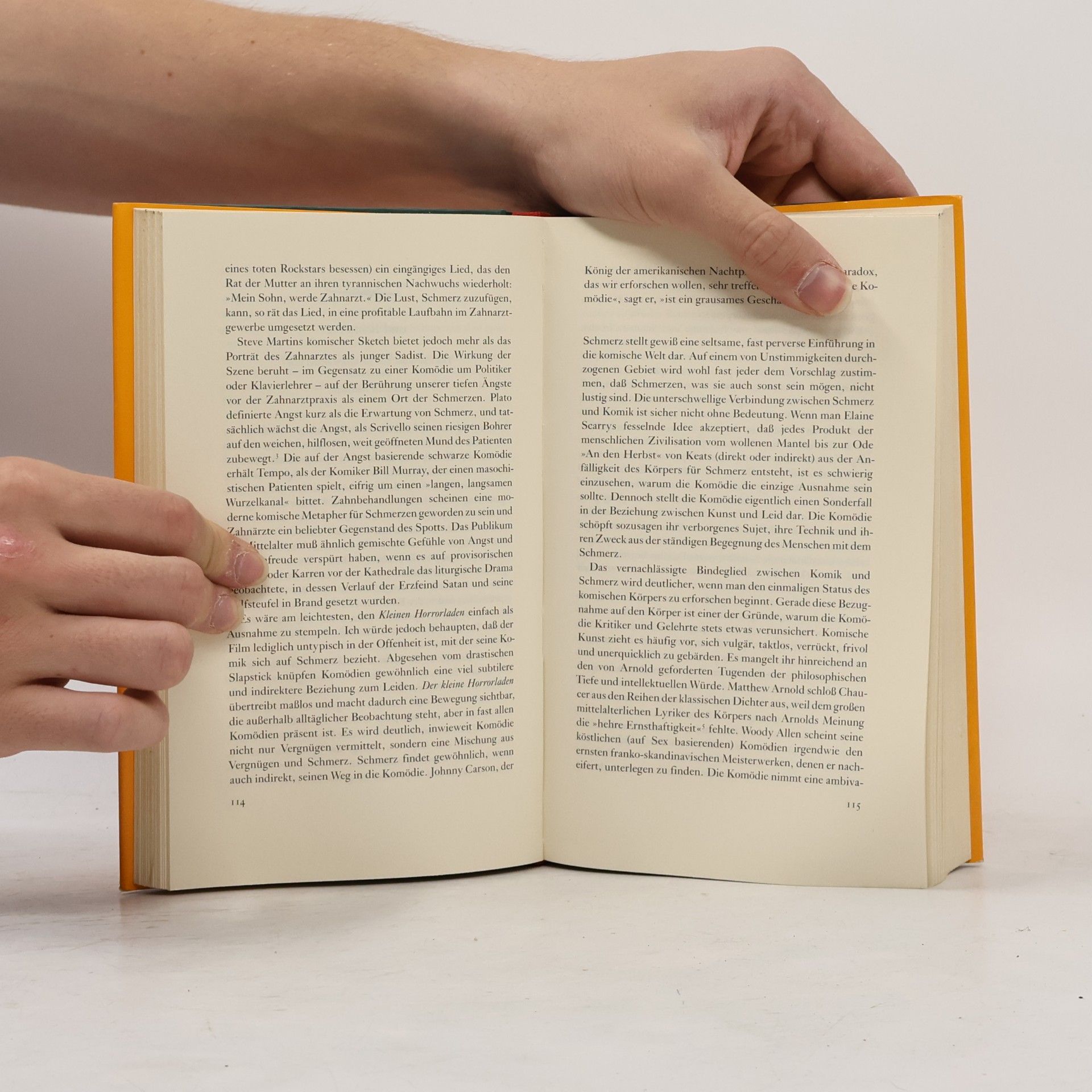 David B. Morris Geschichte des Schmerzes