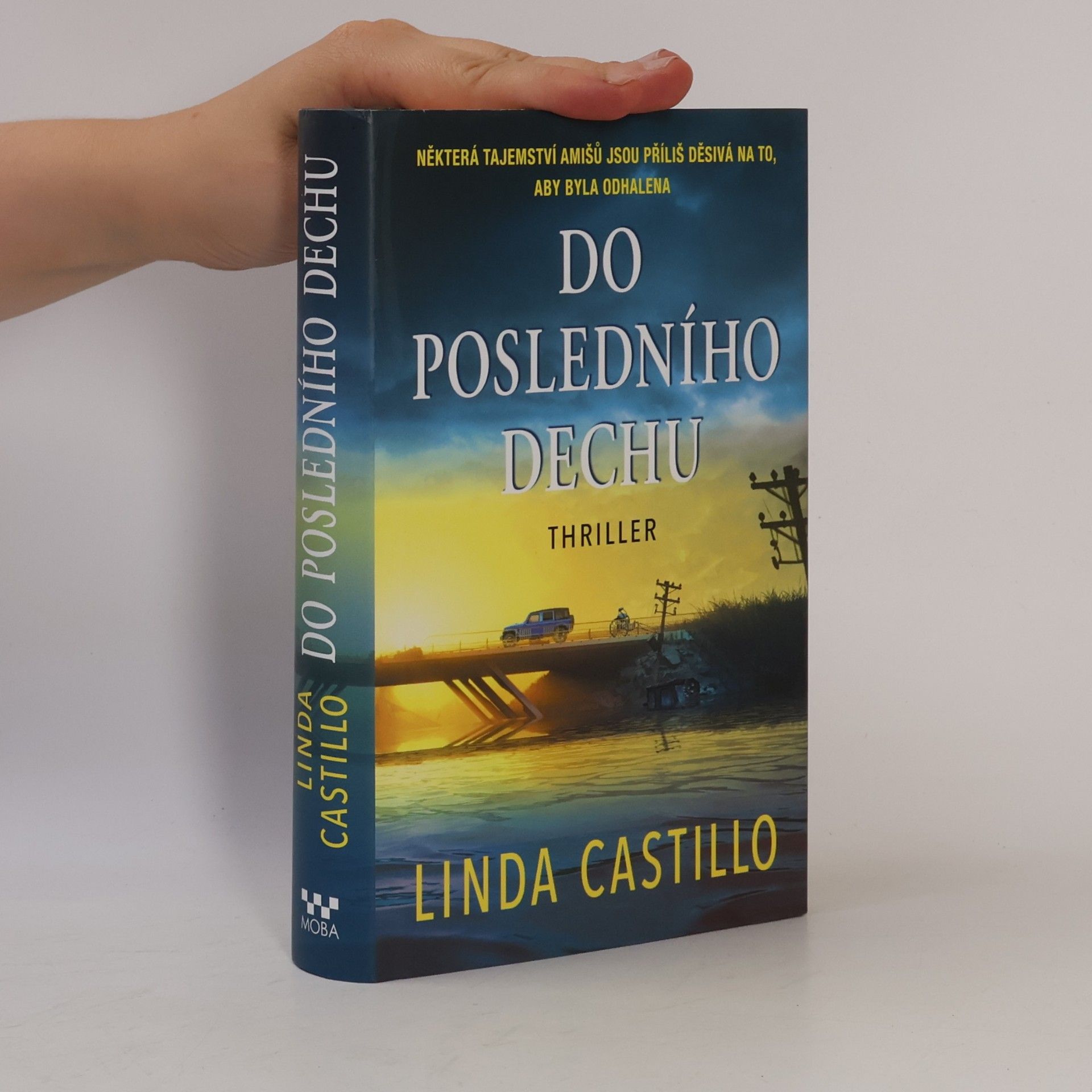 Linda Castillo Do posledního dechu