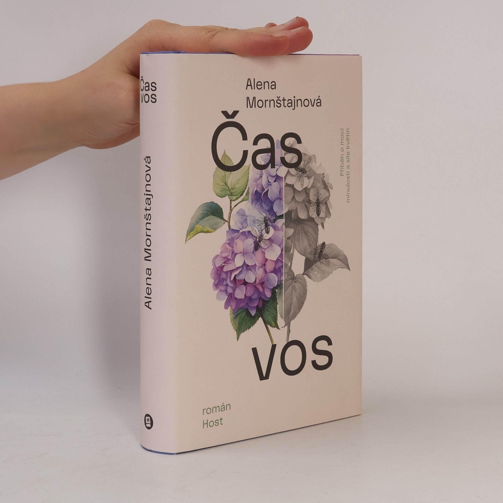 Alena Mornštajnová Čas vos