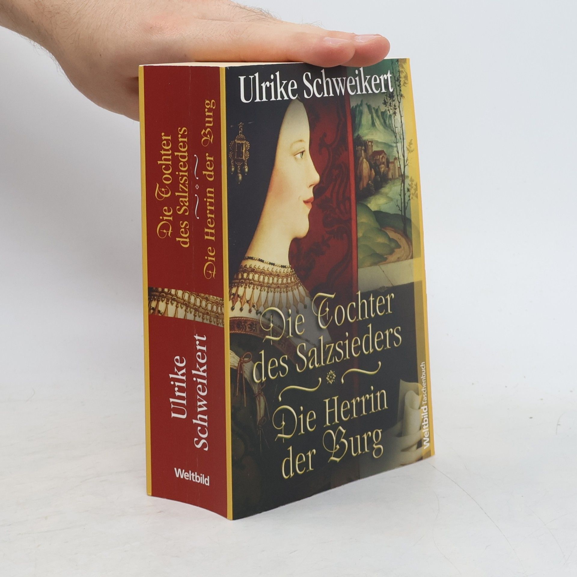 Ulrike Schweikert Die Tochter des Salzsieders