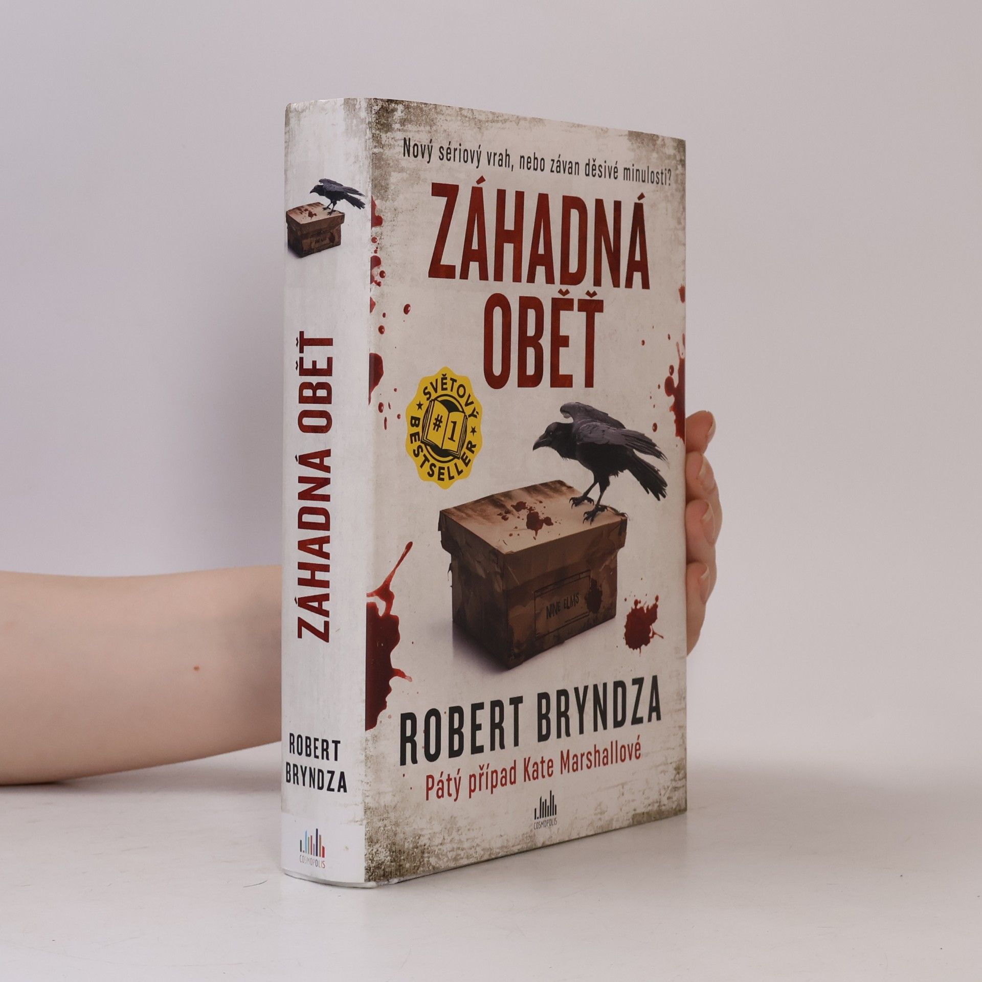 Robert Bryndza Záhadná oběť
