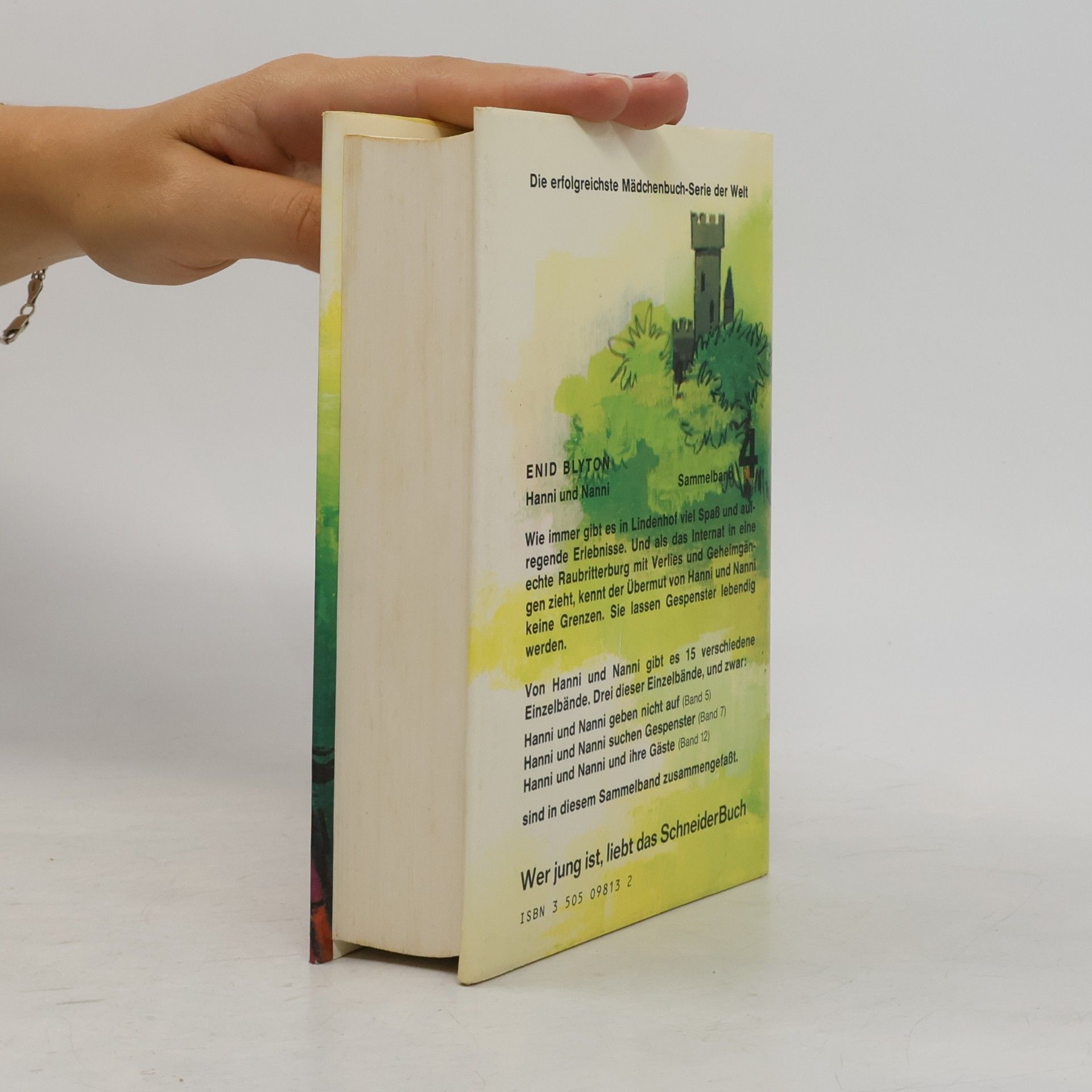 Enid Blyton Hanni und Nanni. Sammelband 4